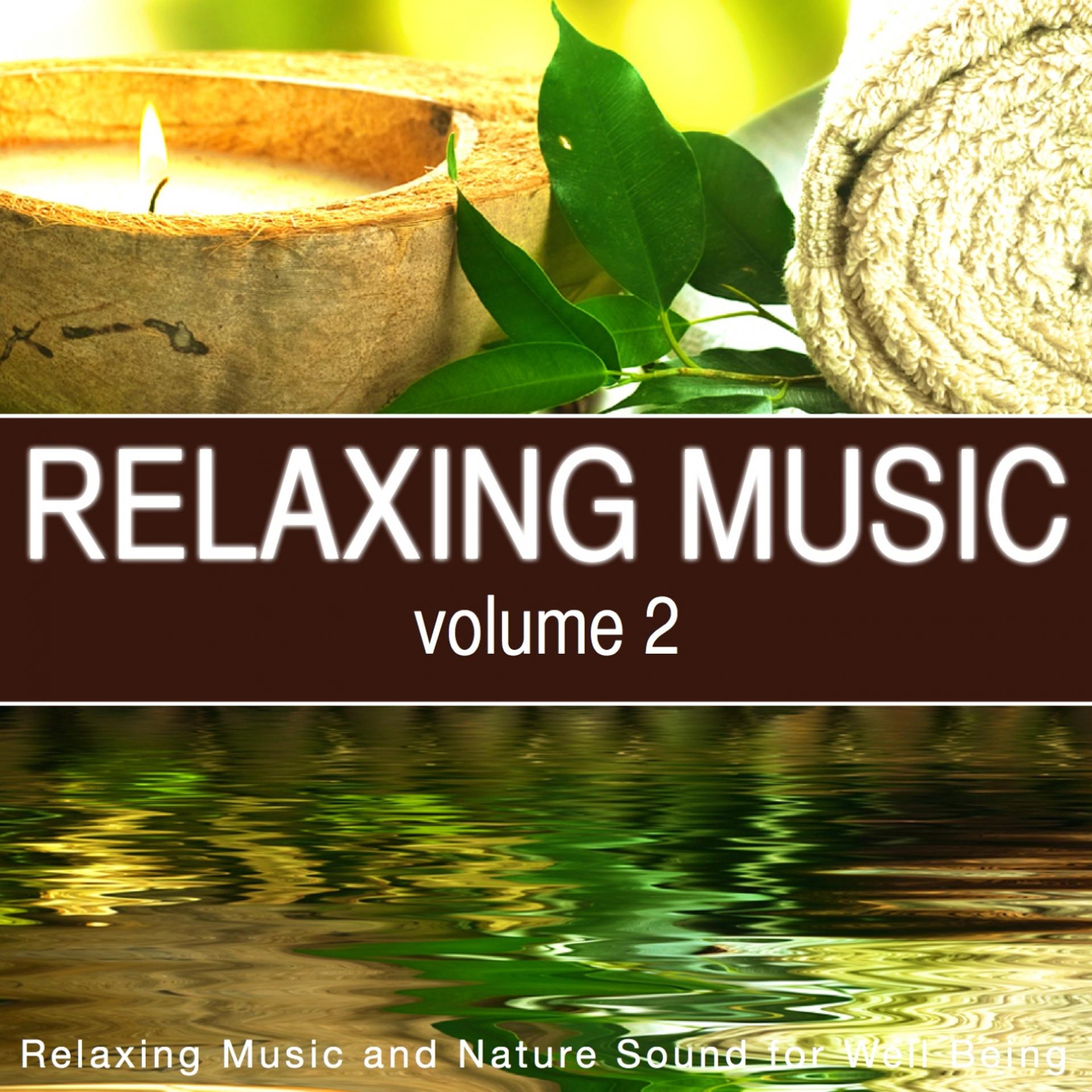 Постер альбома Relaxing Music, Vol. 2