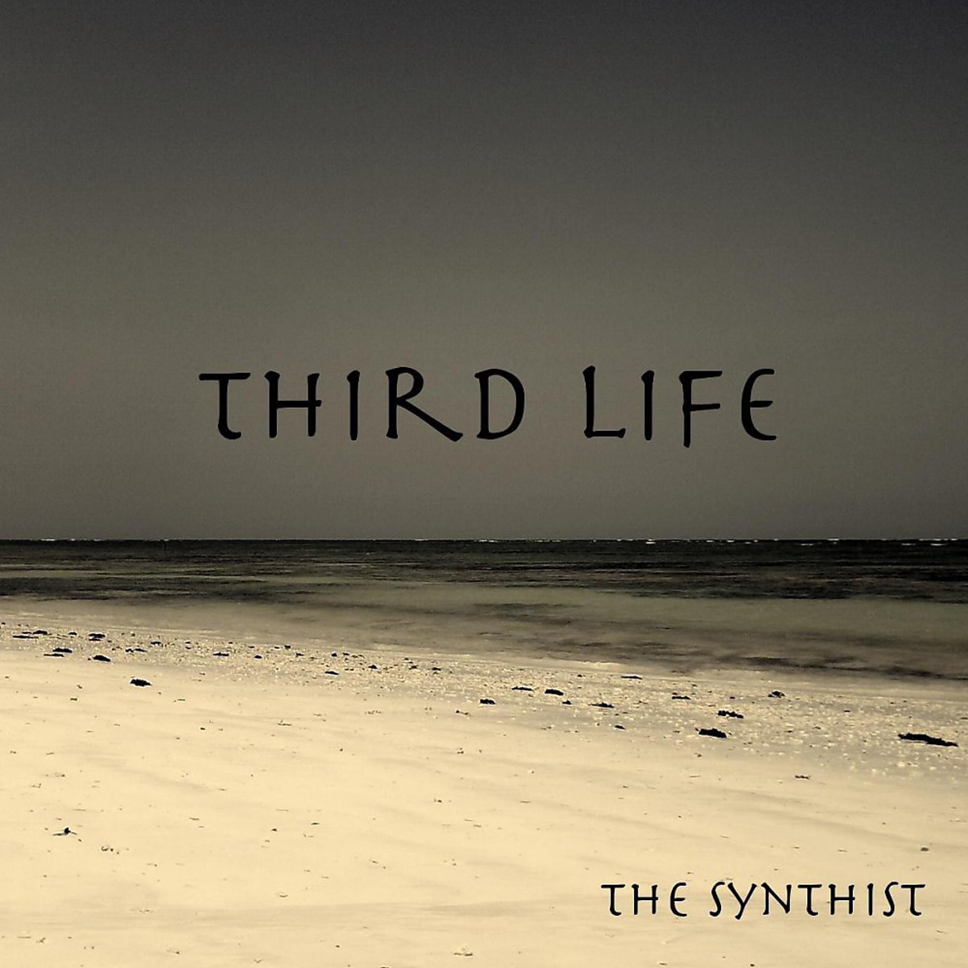 Постер альбома Third Life