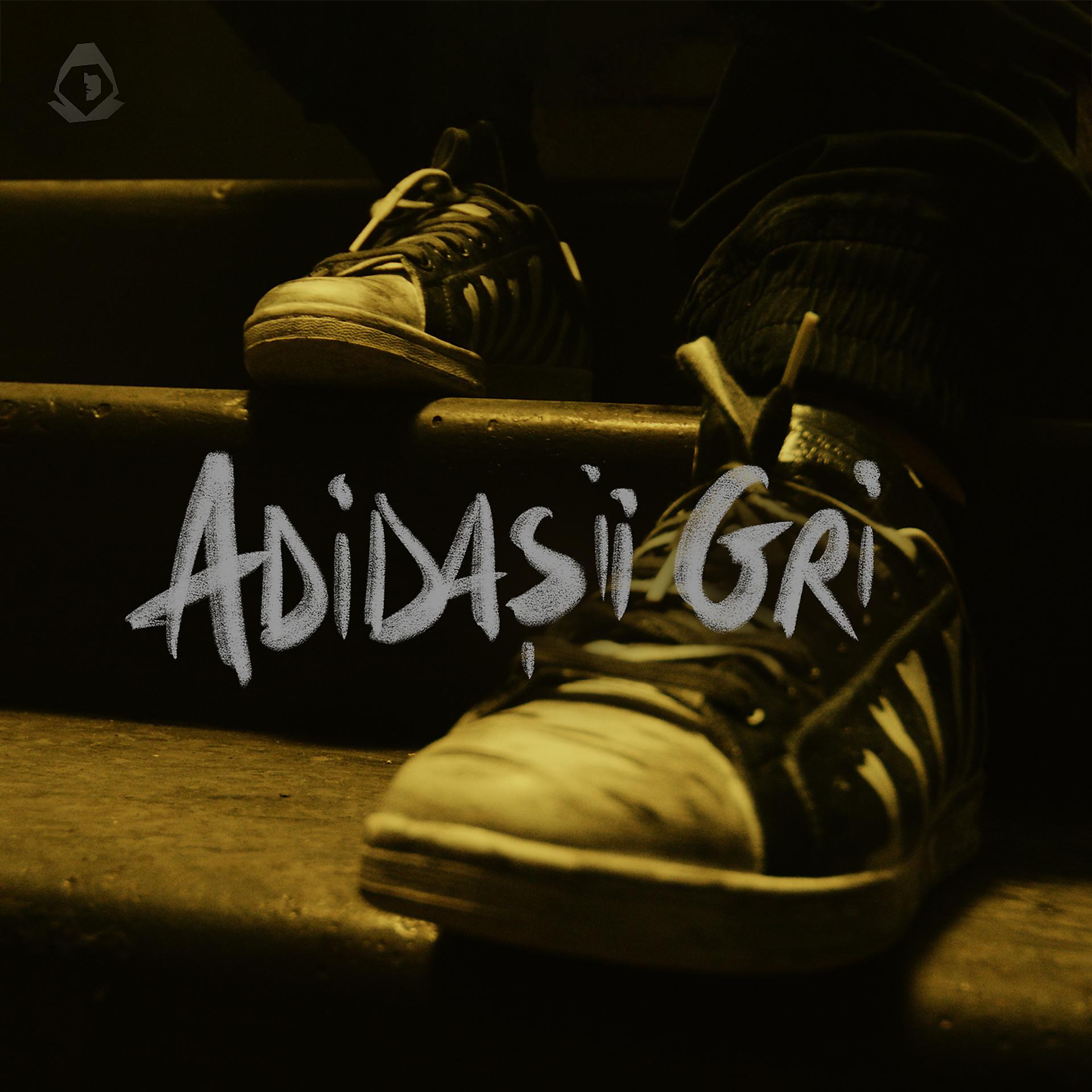Постер альбома Adidașii gri