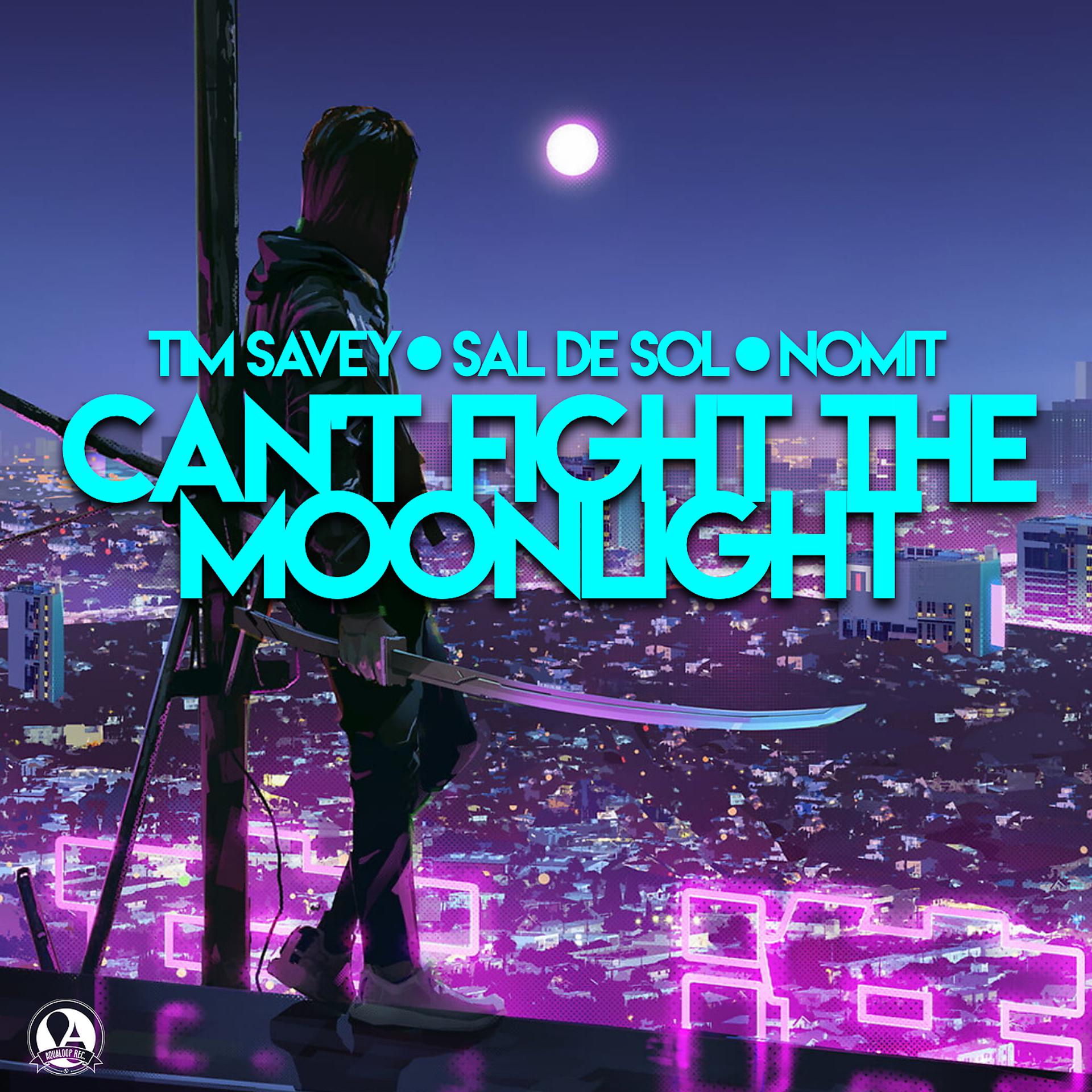 Постер альбома Can´t Fight The Moonlight