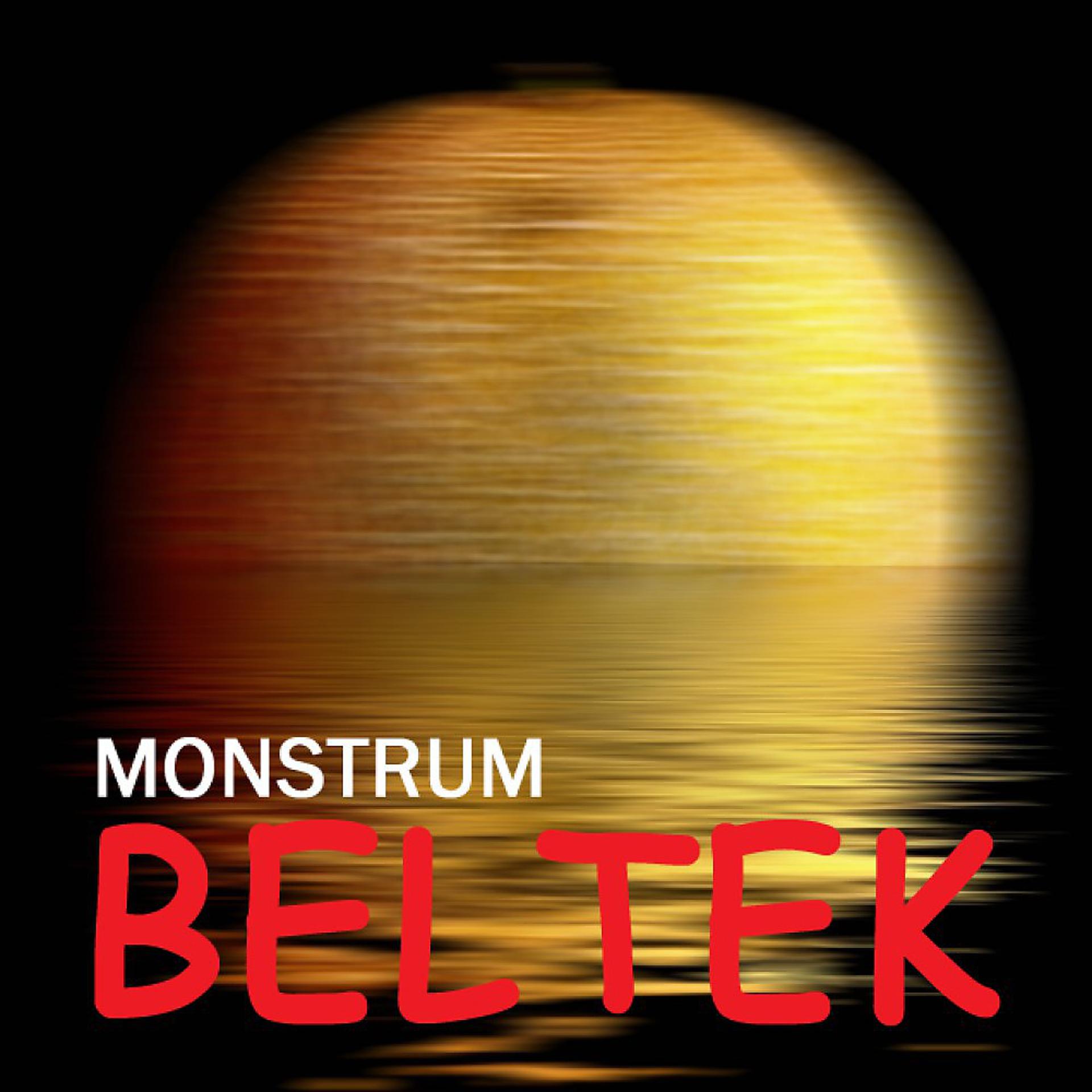 Постер альбома Monstrum