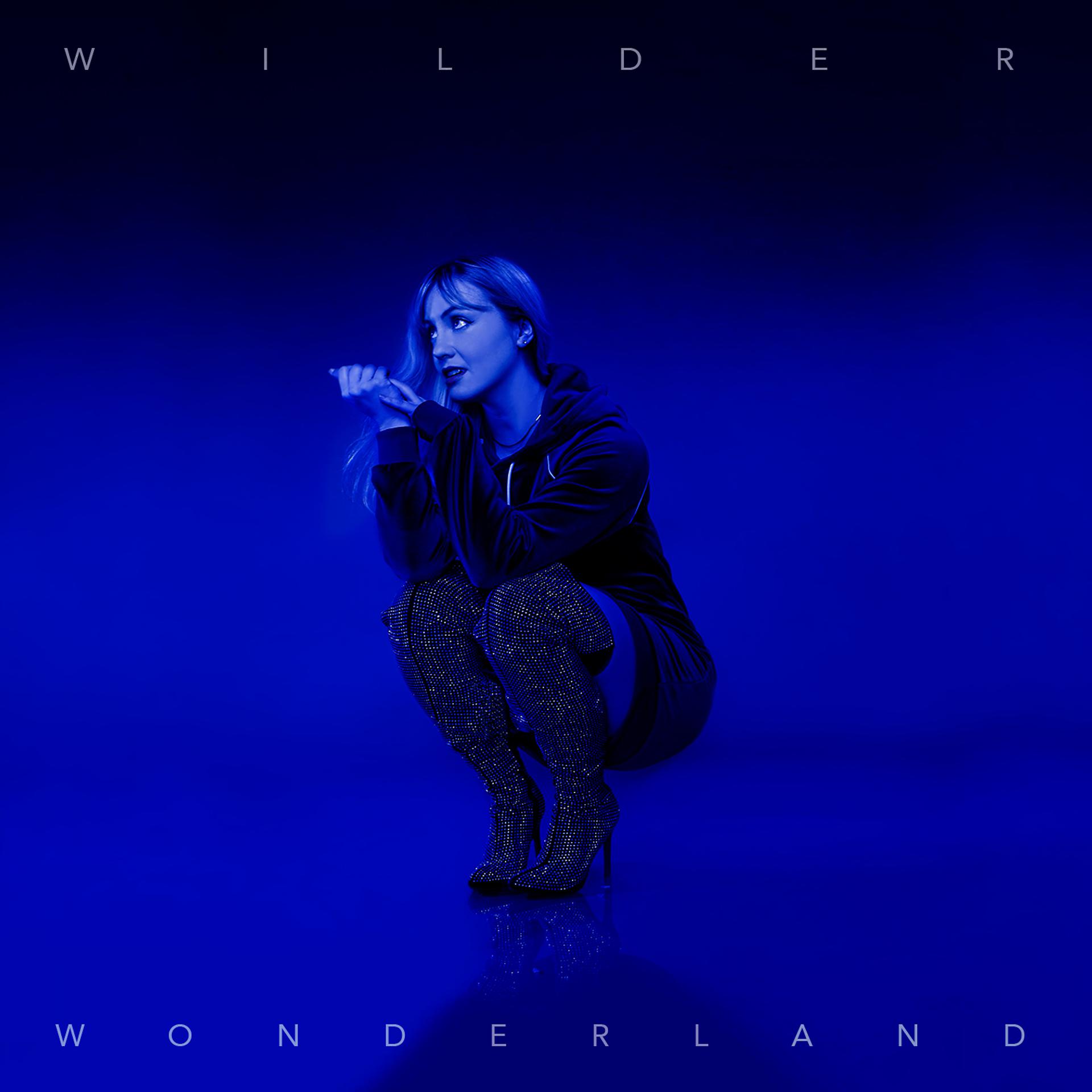 Постер альбома Wilder Wonderland
