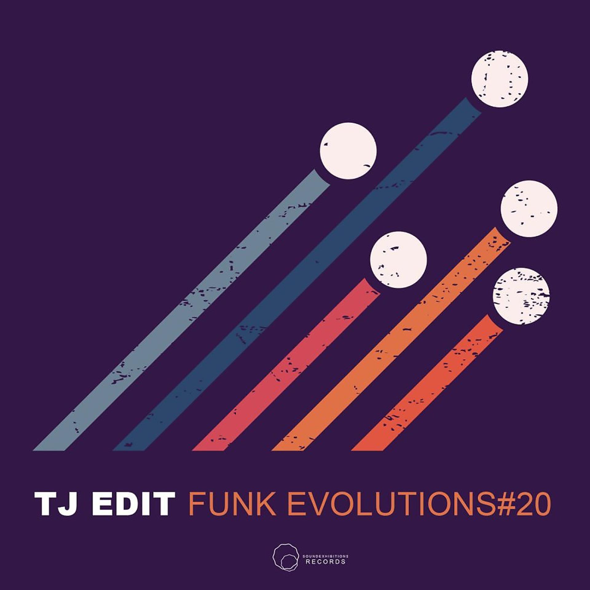 Постер альбома Funk Evolutions # 20