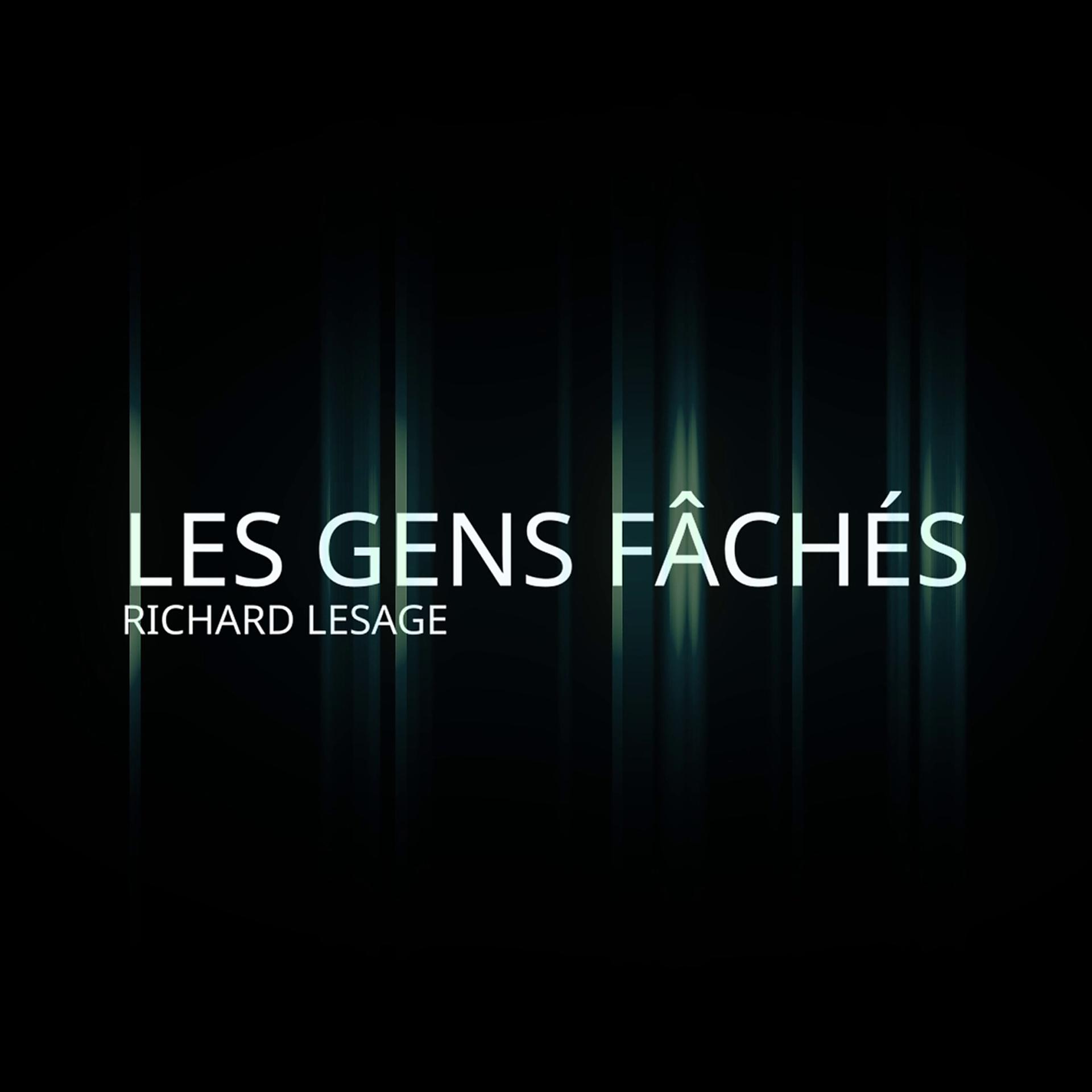 Постер альбома Les gens fâchés