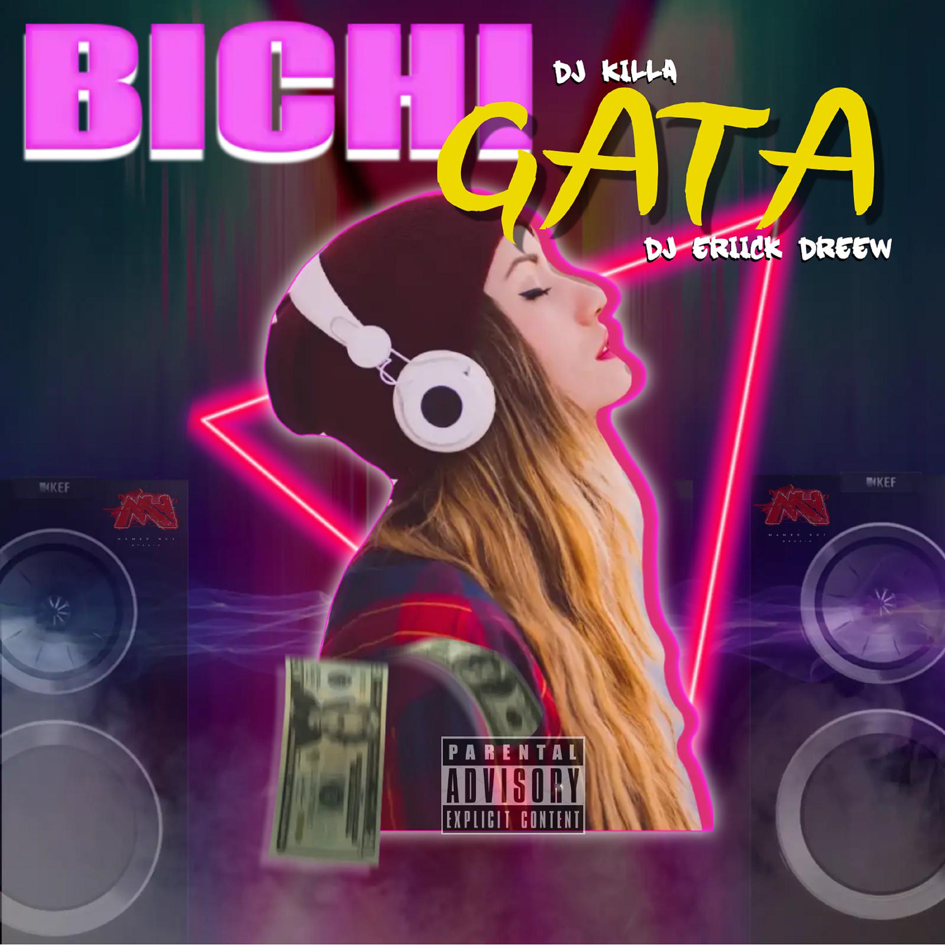 Постер альбома Bichi Gata