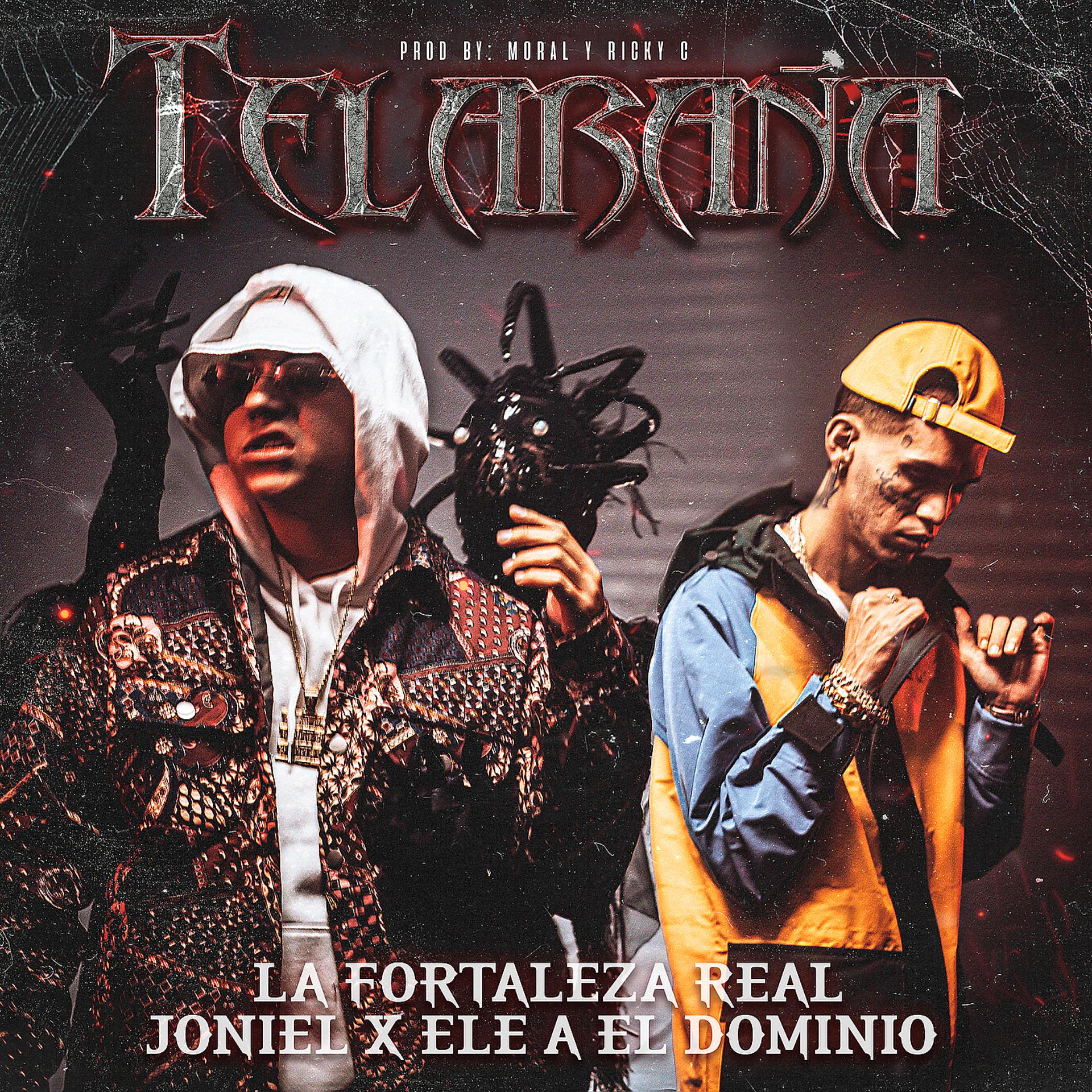 Постер альбома Telaraña