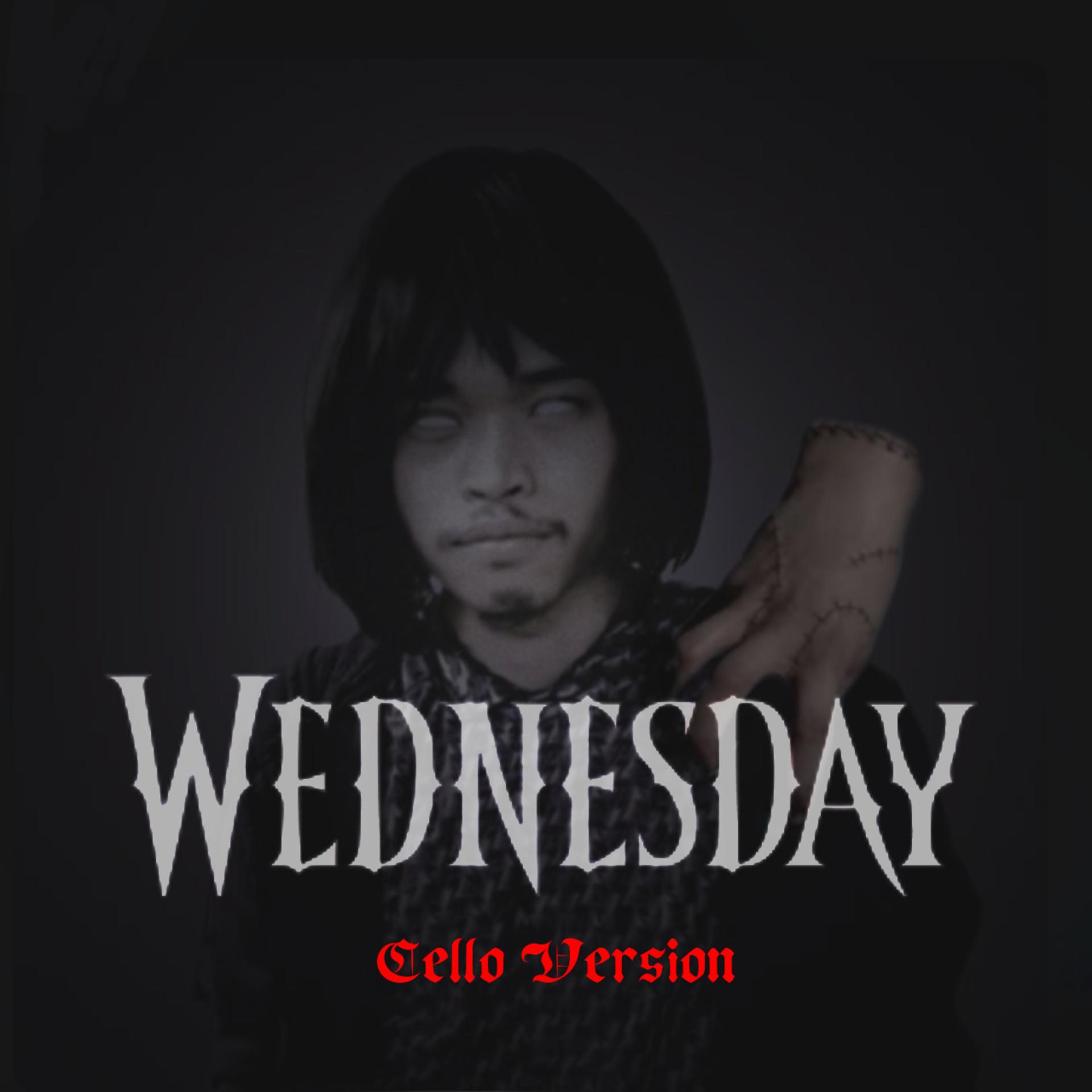 Постер альбома Wednesday Cello (Paint it black)
