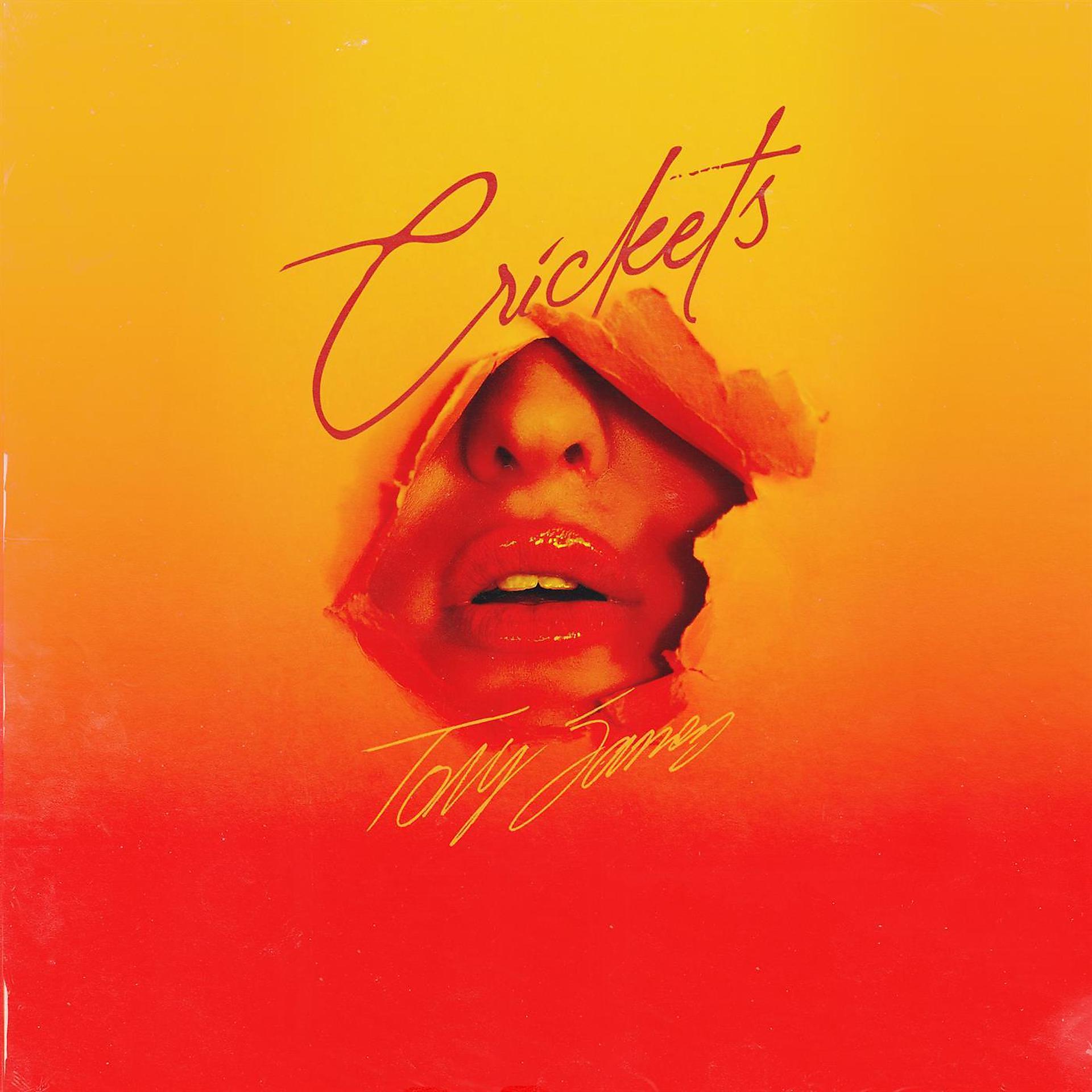 Постер альбома Crickets