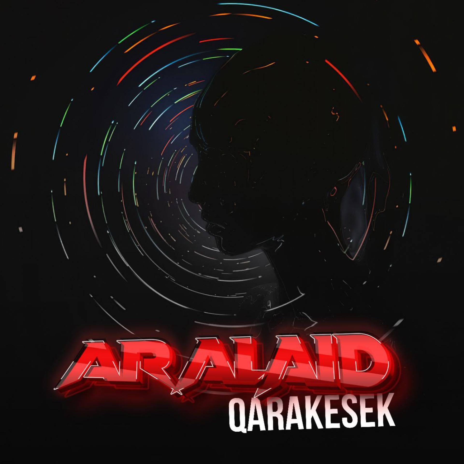 Постер альбома Aralaid