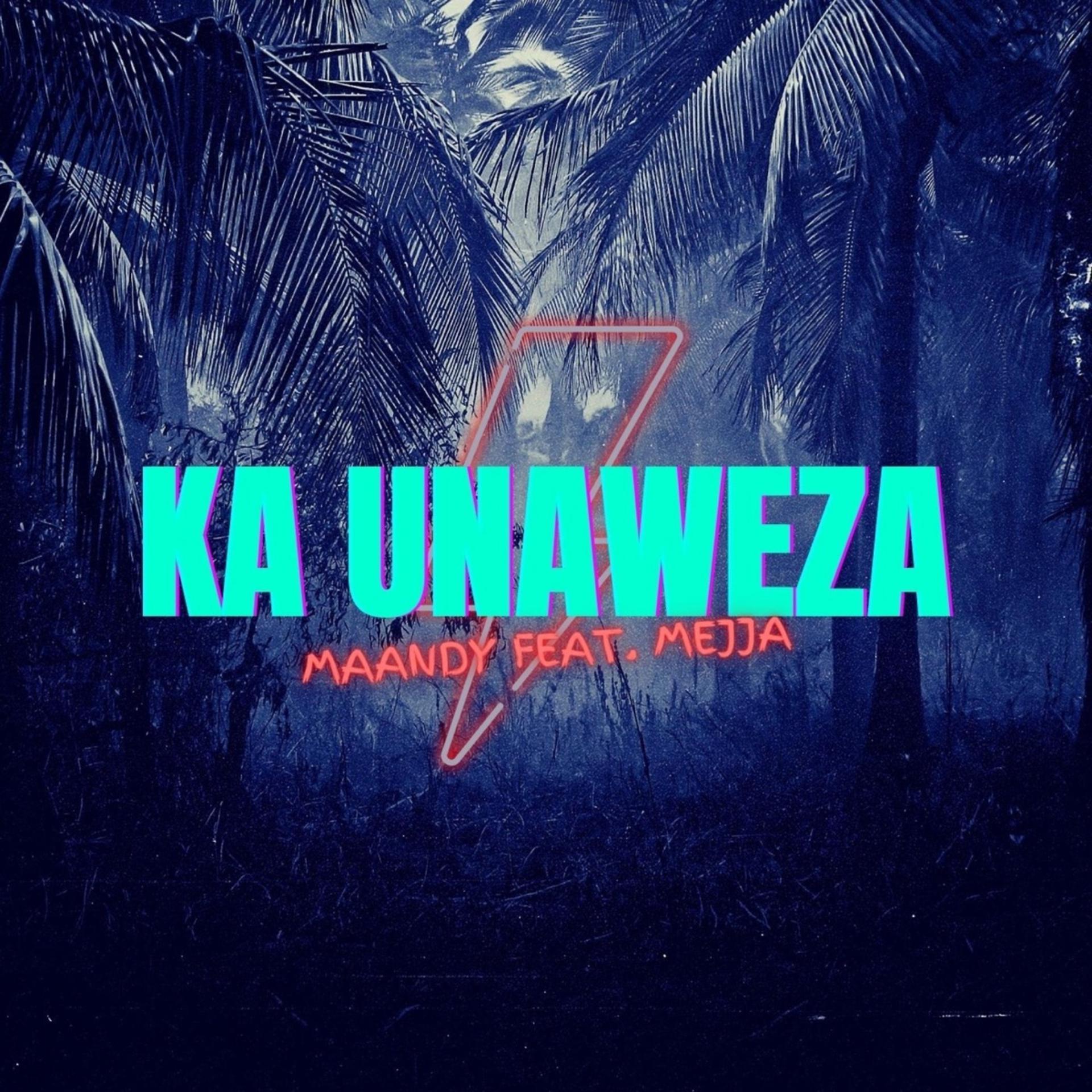 Постер альбома Ka Unaweza