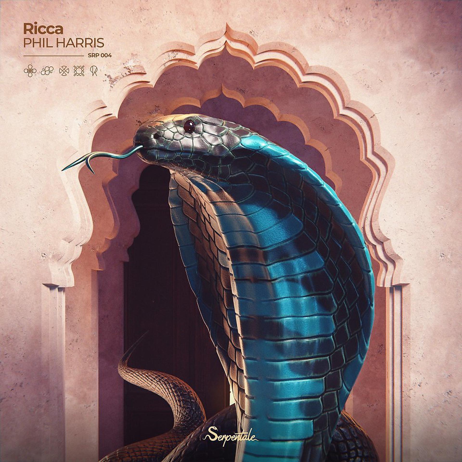 Постер альбома Ricca