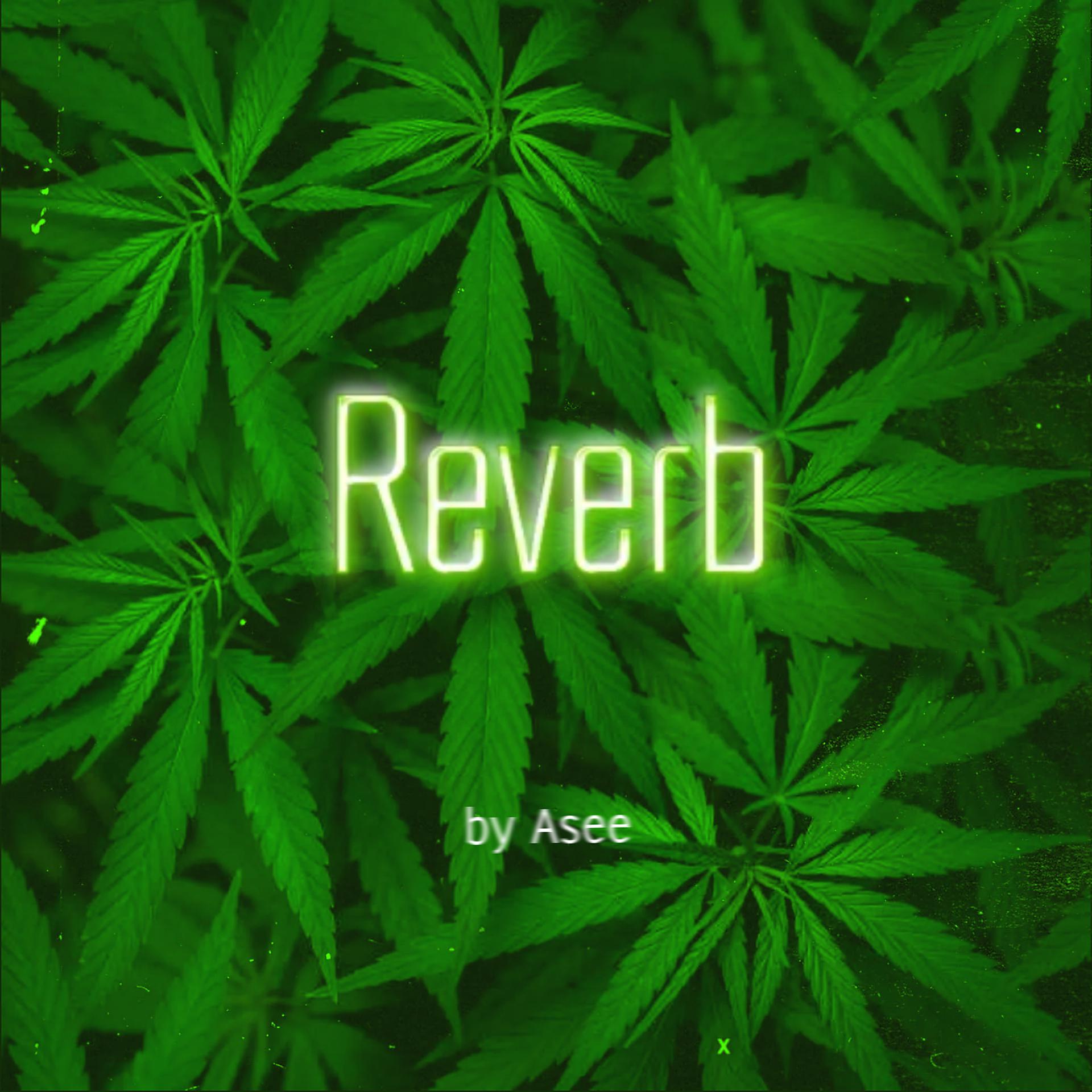 Постер альбома Reverb