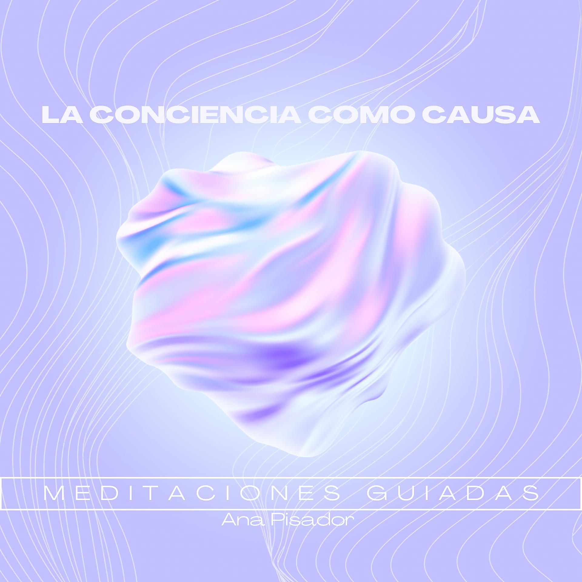 Постер альбома La Conciencia como Causa