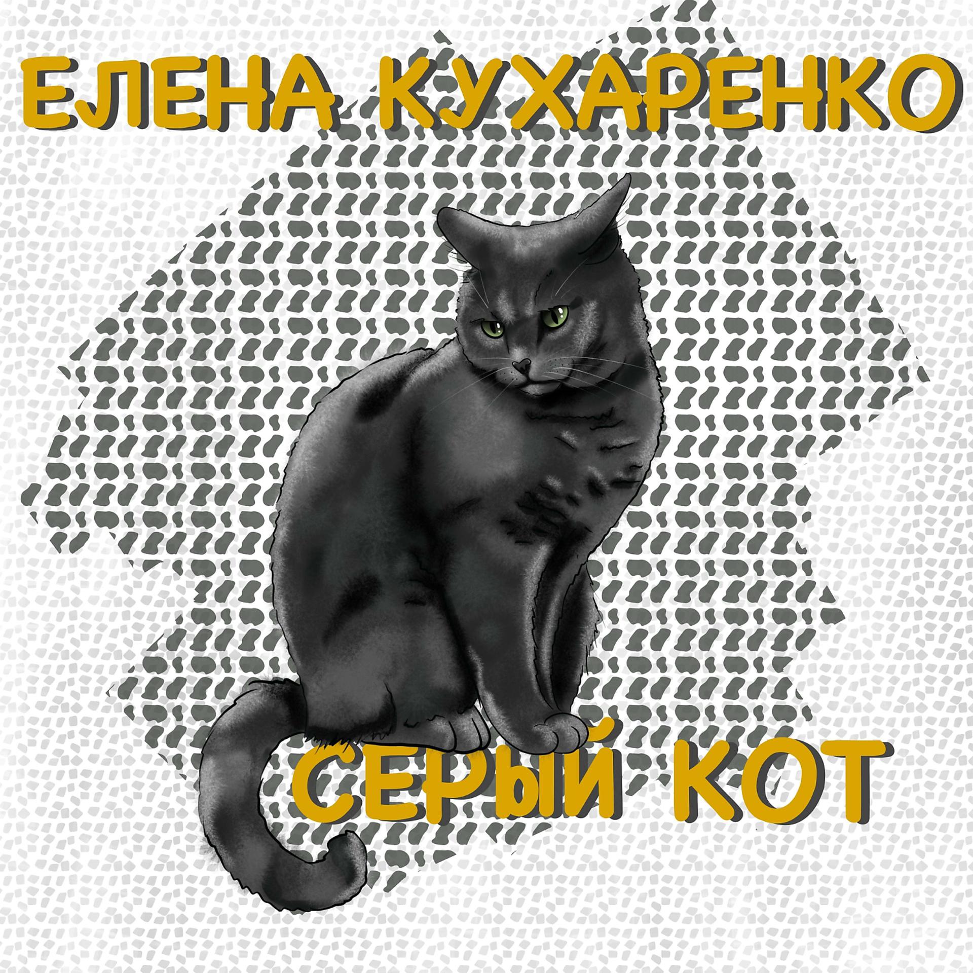 Постер альбома Серый кот
