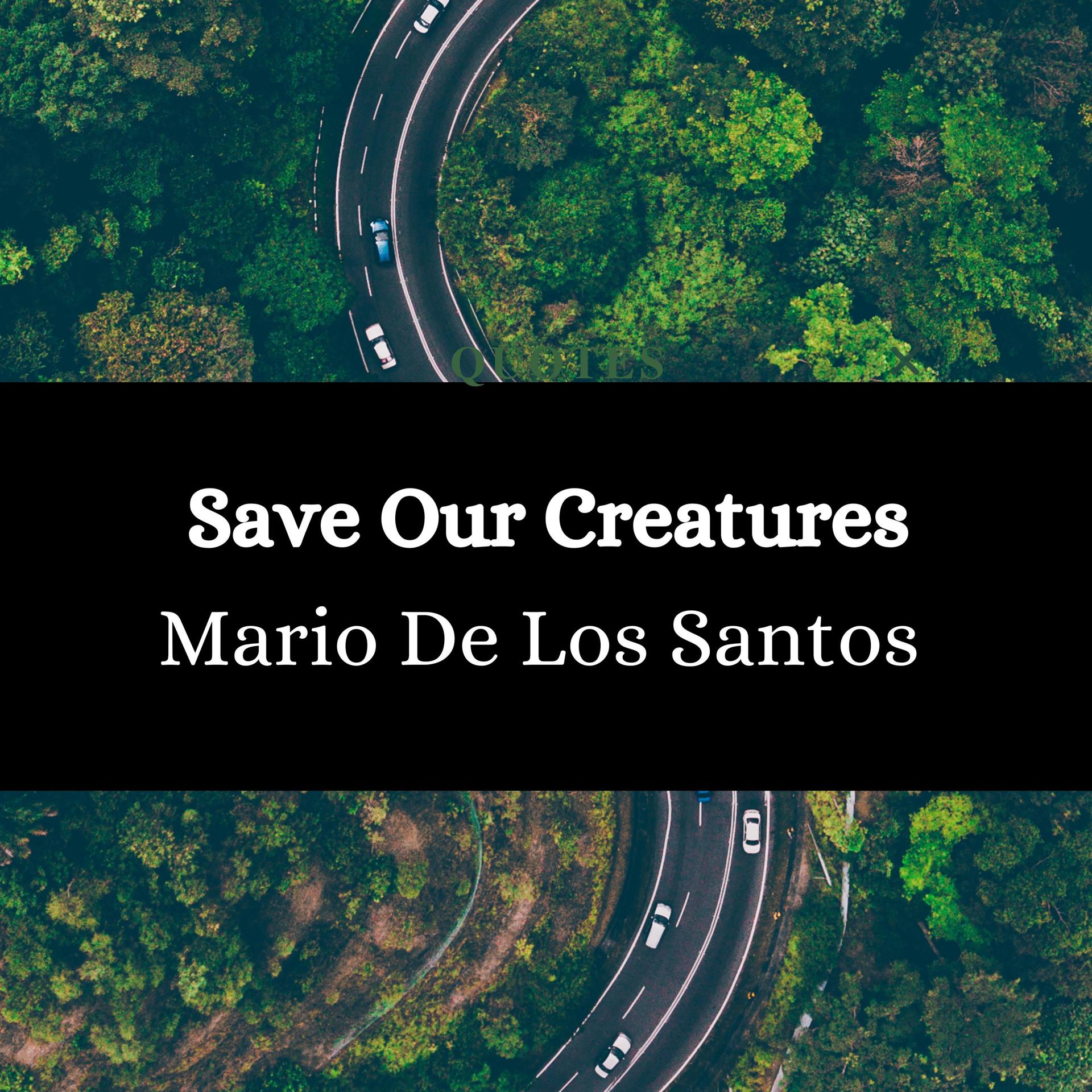Постер альбома Save Our Creatures