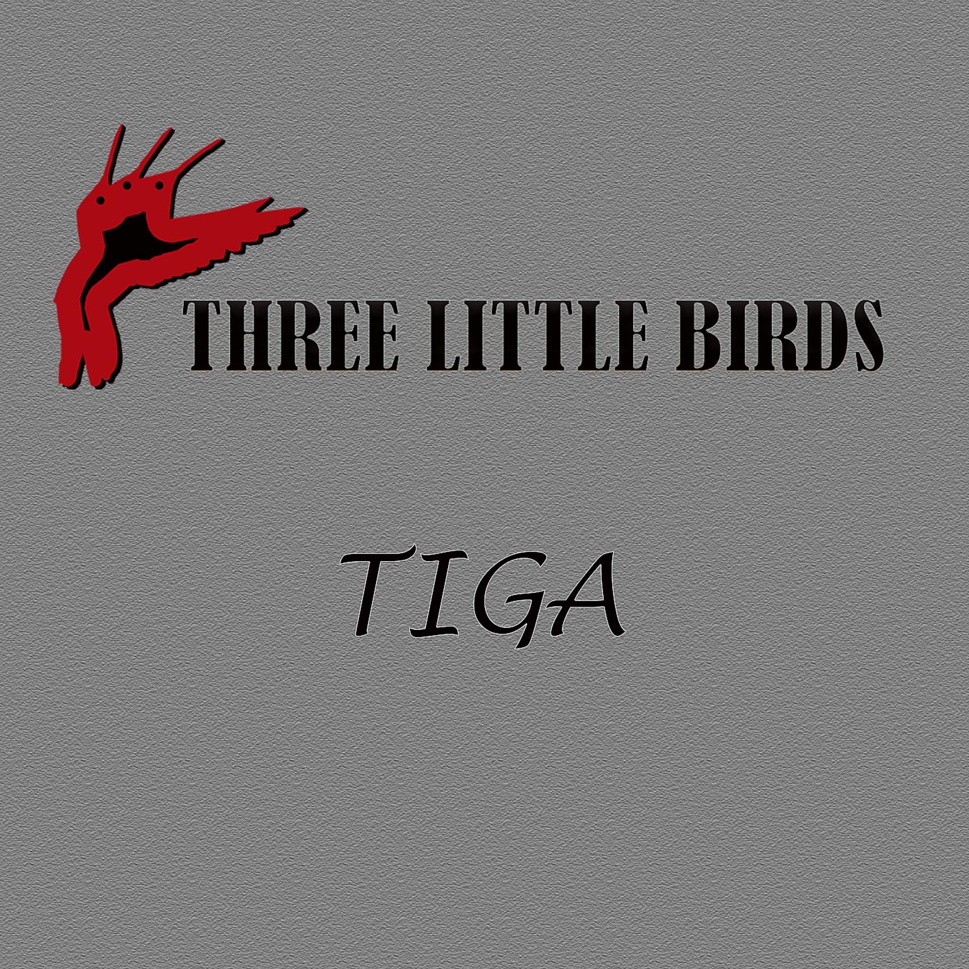 Постер альбома TIGA