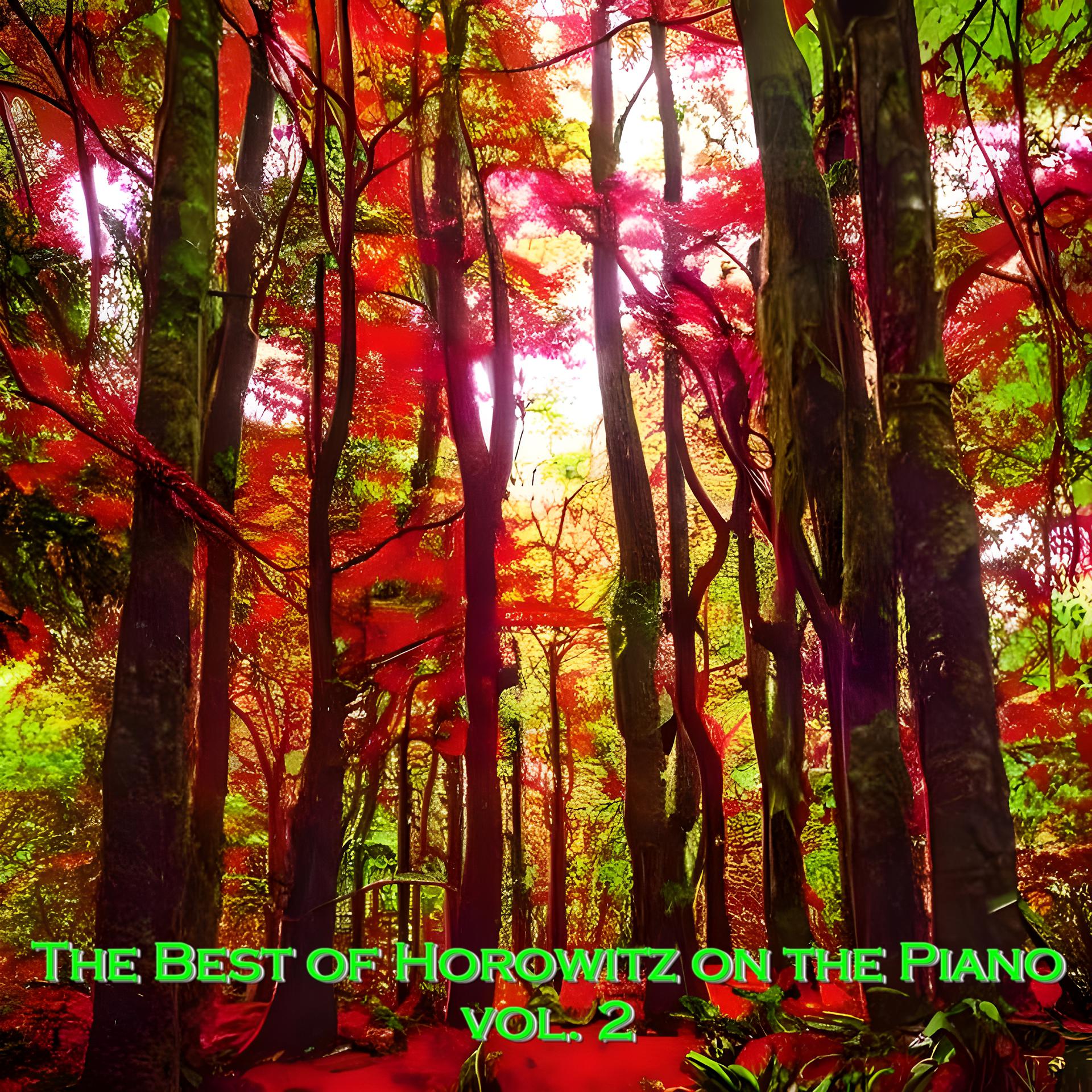 Постер альбома The Best of Horowitz on the Piano, vol. 2