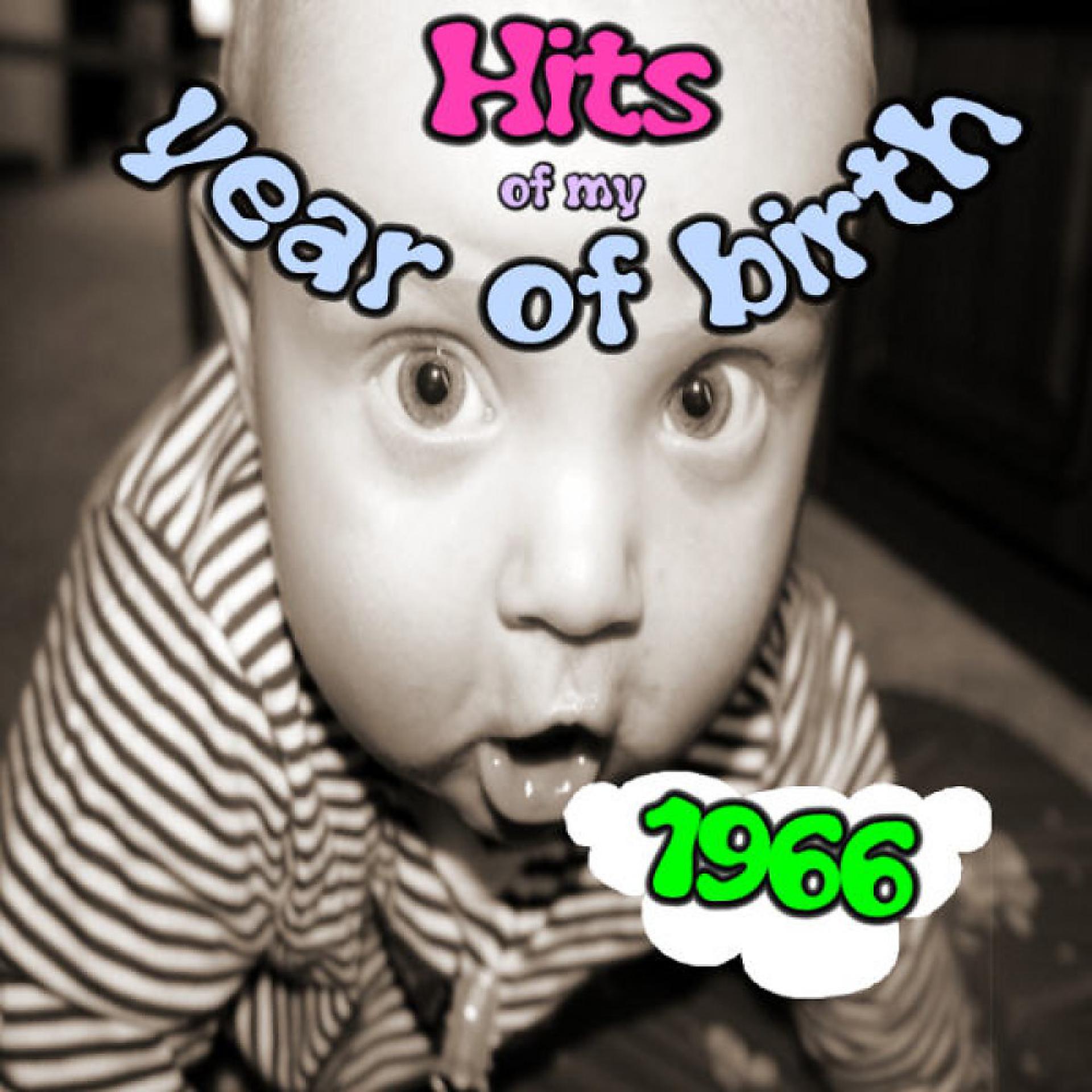 Постер альбома Hits of My Year of Birth-1966 / Hits Aus Meinem Geburtsjahr-1966
