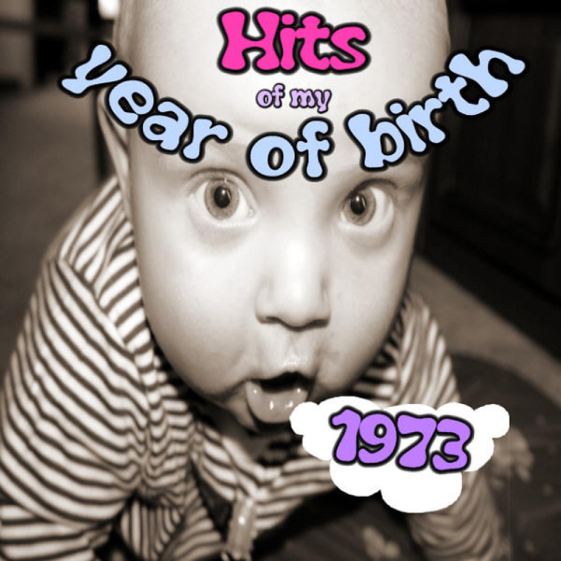 Постер альбома Hits of My Year of Birth-1973 / Hits Aus Meinem Geburtsjahr-1973
