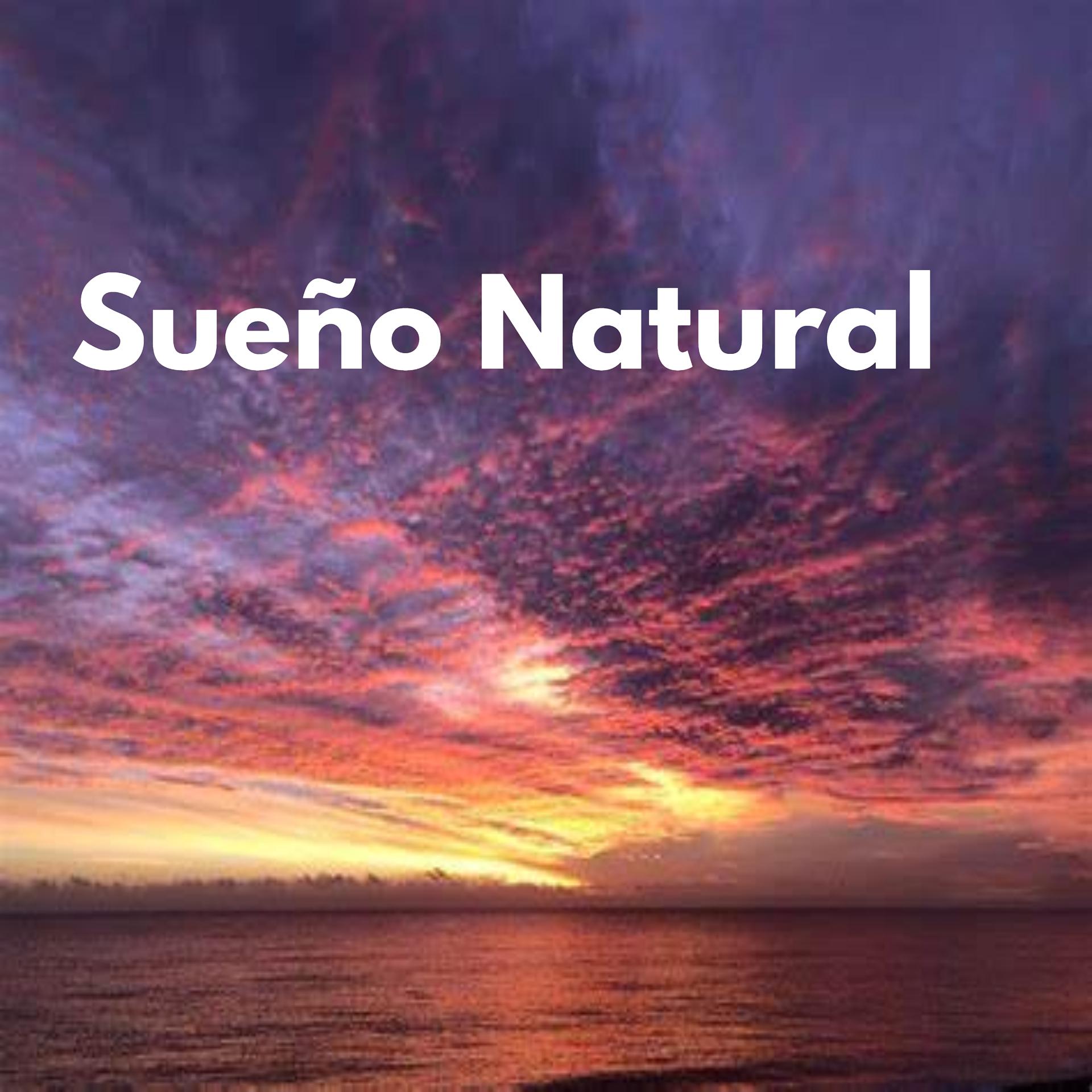 Постер альбома Sueño Natural