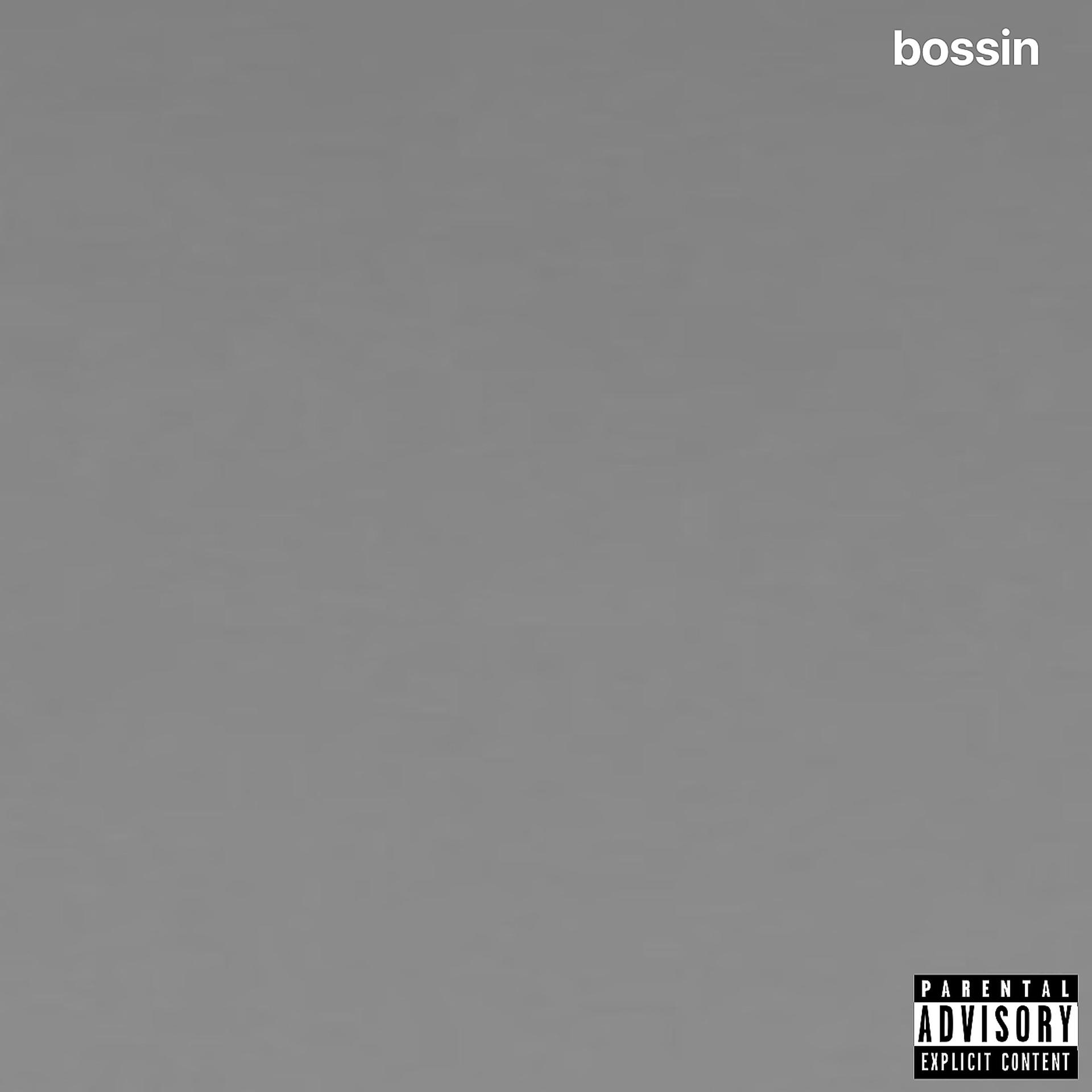 Постер альбома Bossin