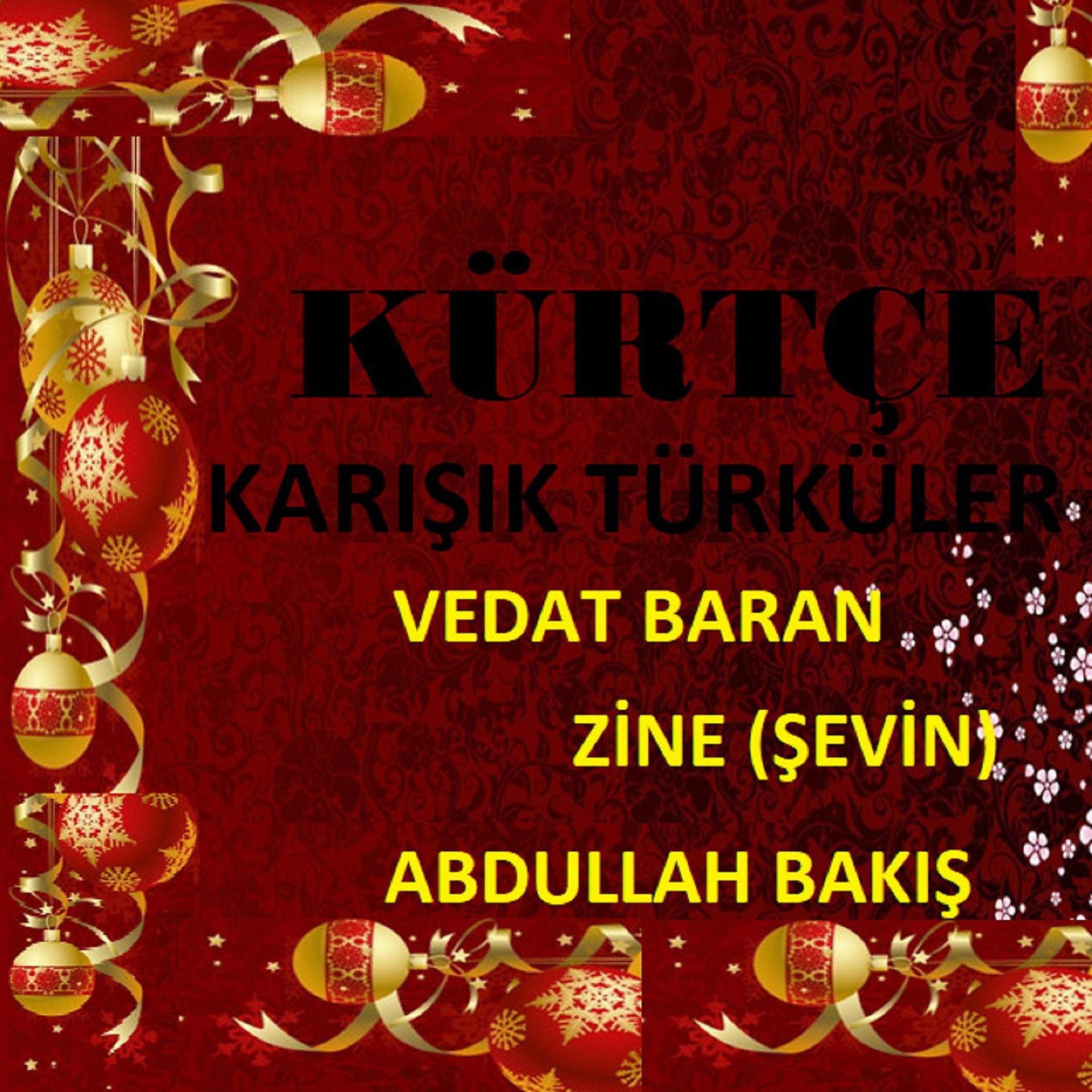 Постер альбома Karışık Kürtçe Türküler