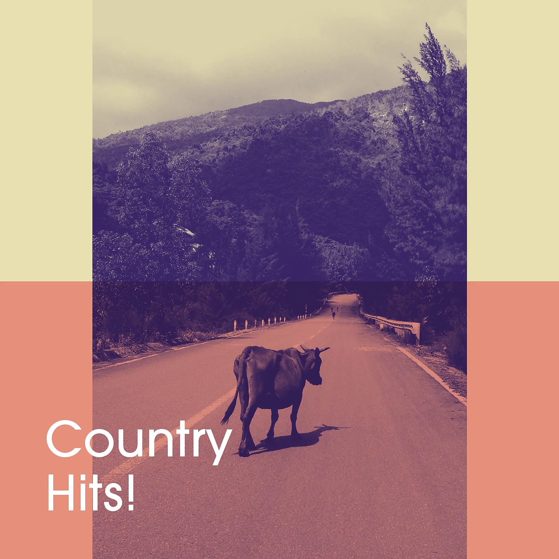 Постер альбома Country Hits!