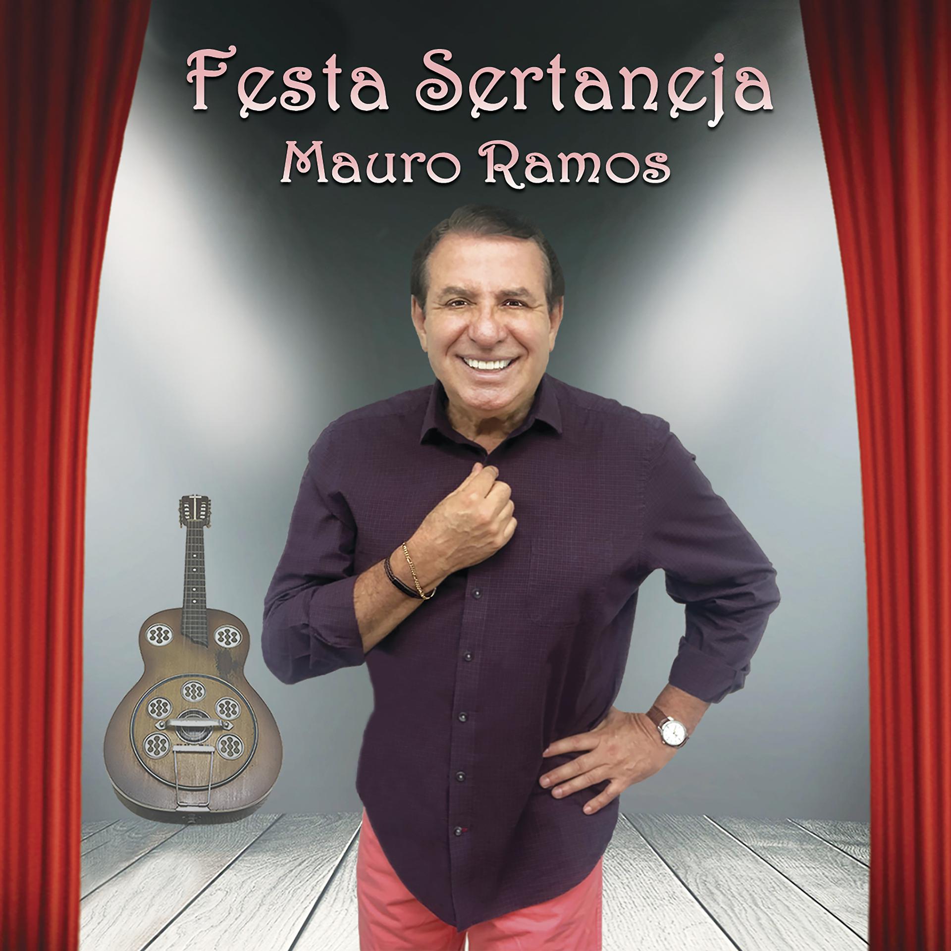 Постер альбома Festa Sertaneja