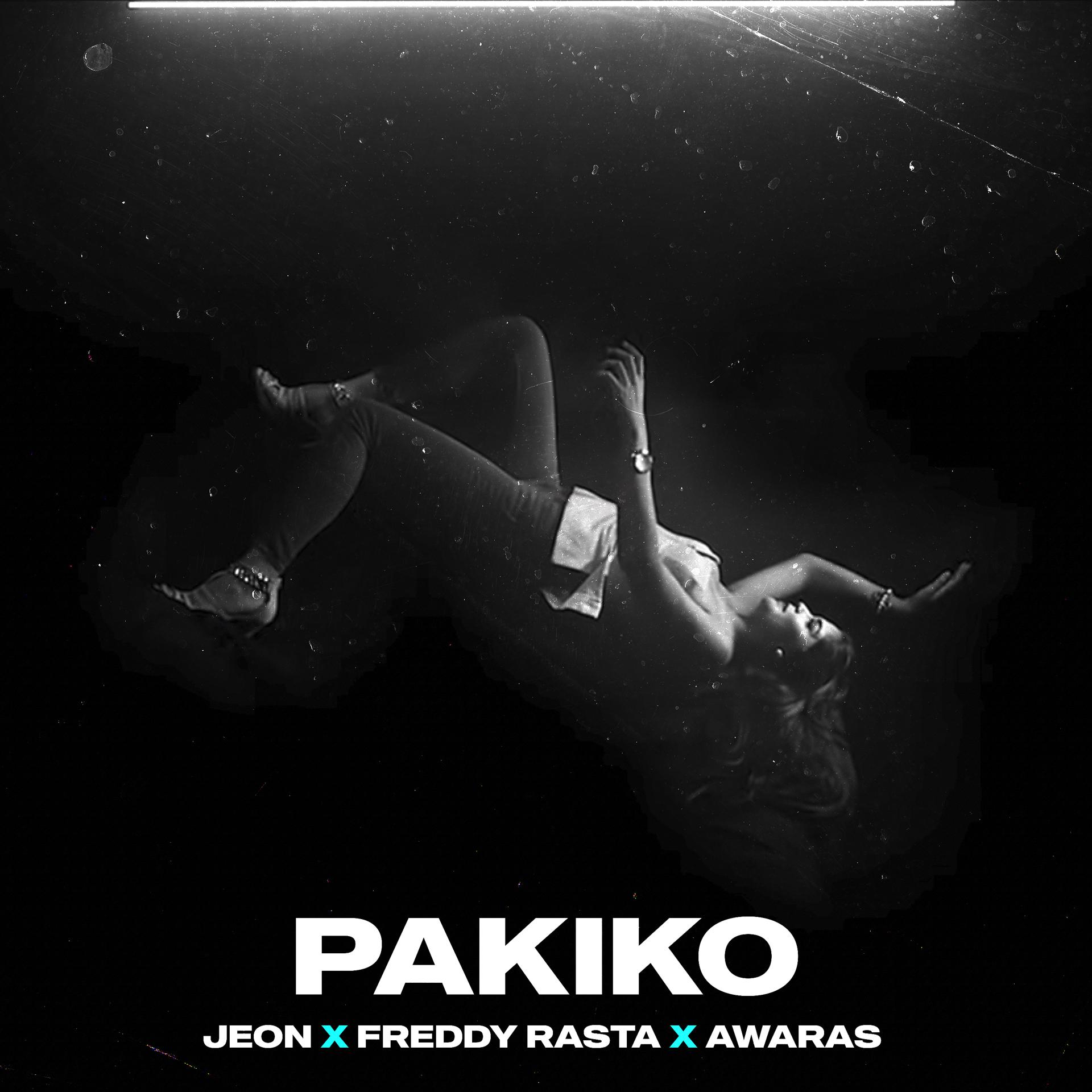 Постер альбома Pakiko