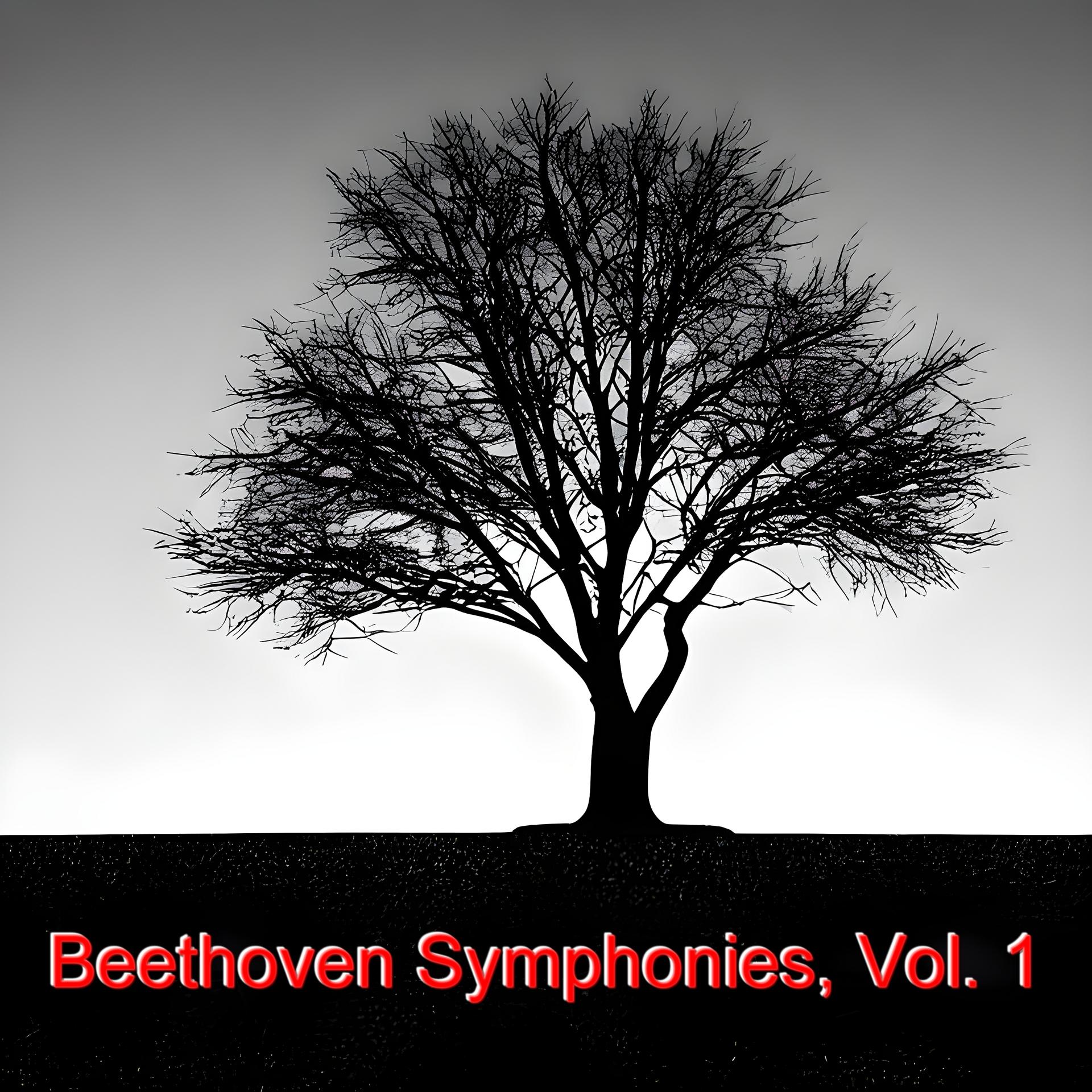 Постер альбома Beethoven symphonies, Vol. 1