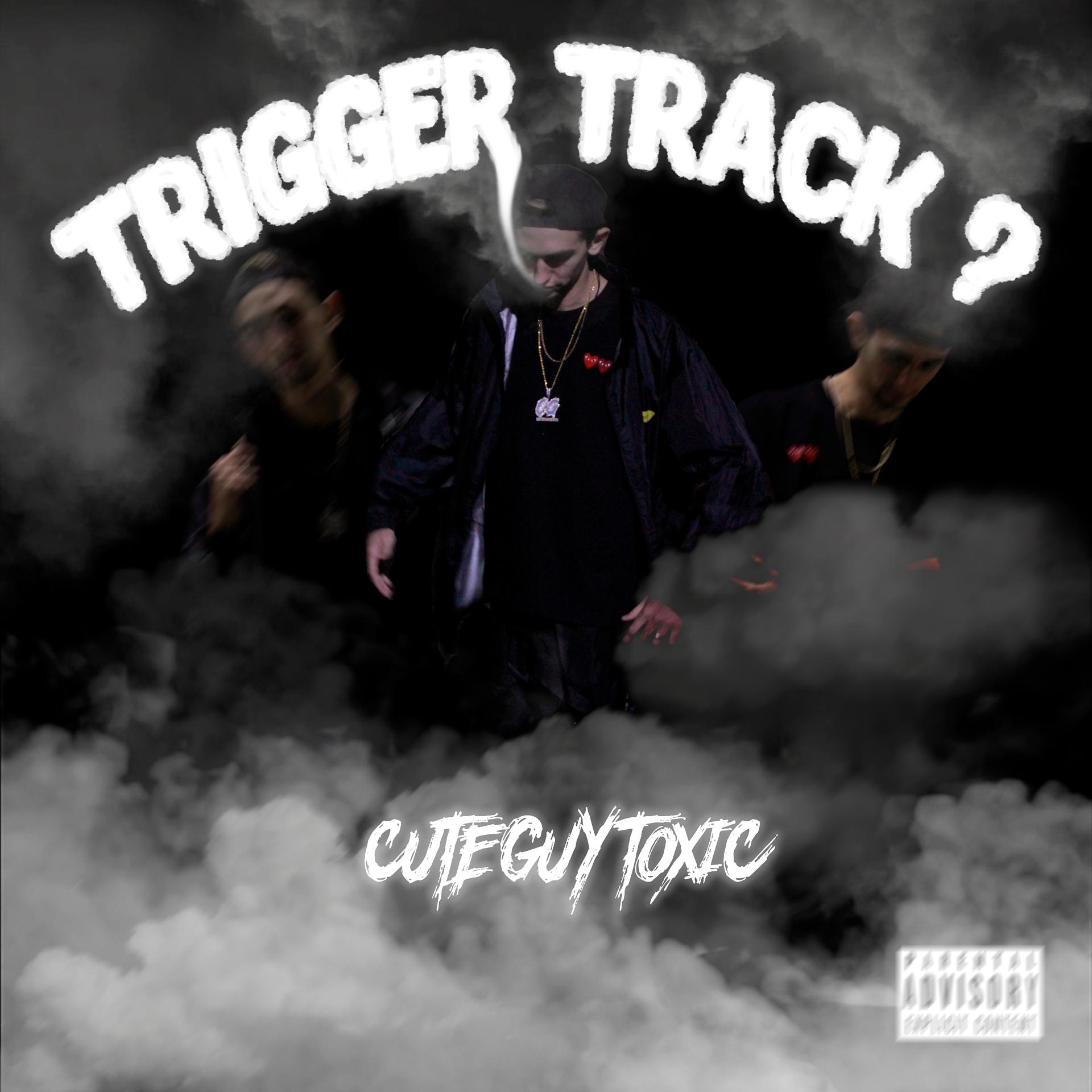 Постер альбома Trigger Track ?