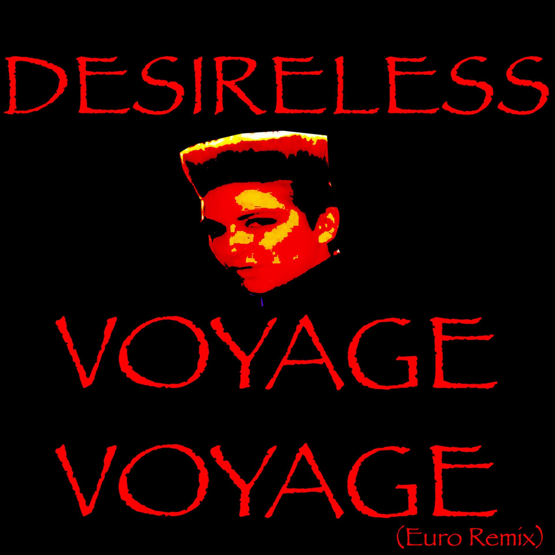 Постер альбома Voyage voyage (Euro Remix)