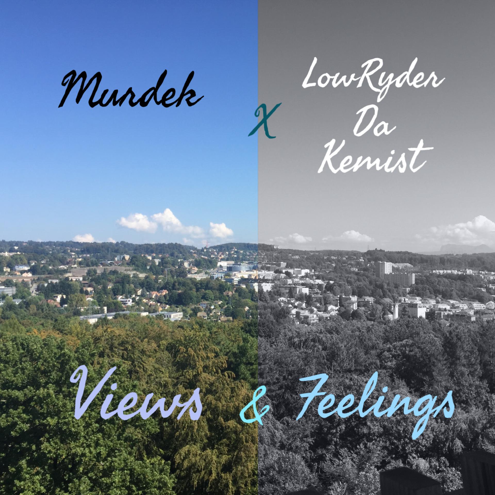 Постер альбома Views and Feelings
