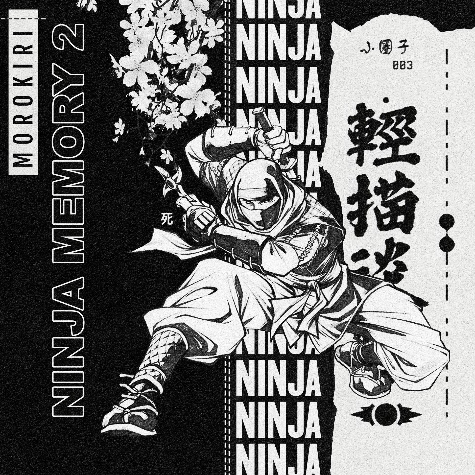 Постер альбома Ninja Memory 2
