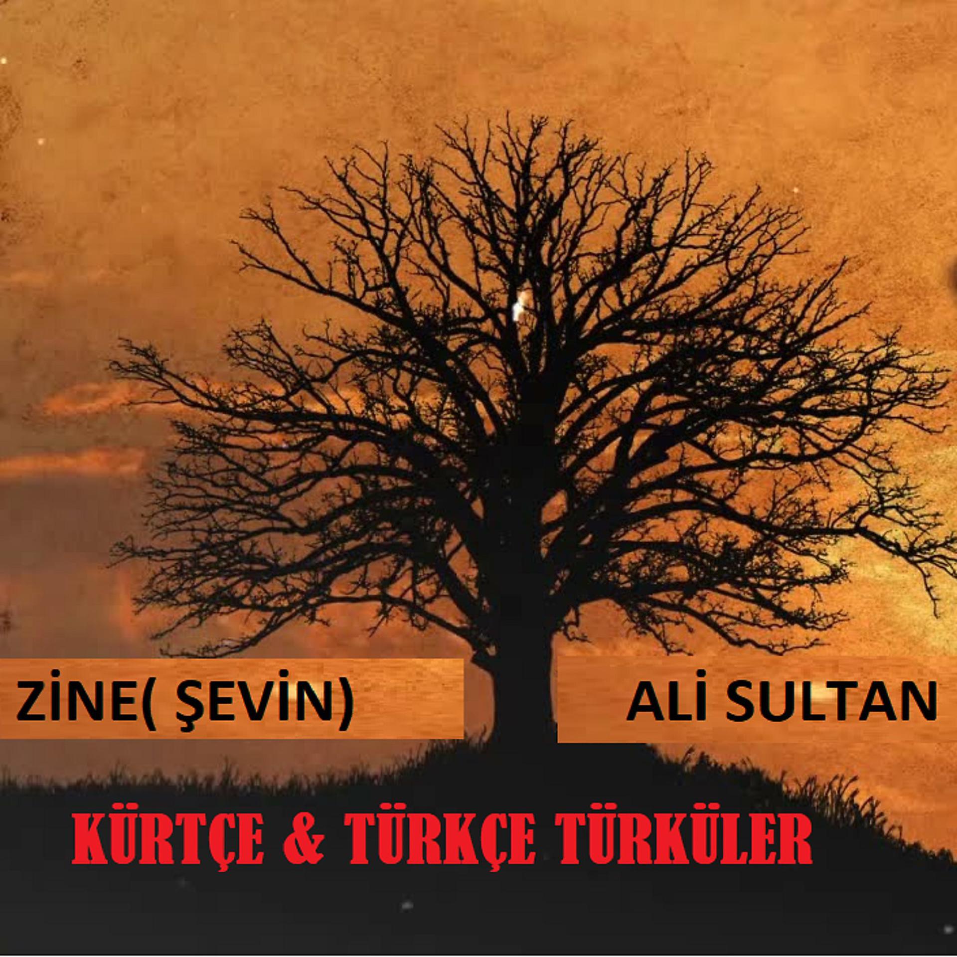 Постер альбома Azad'a Karışık Türküler
