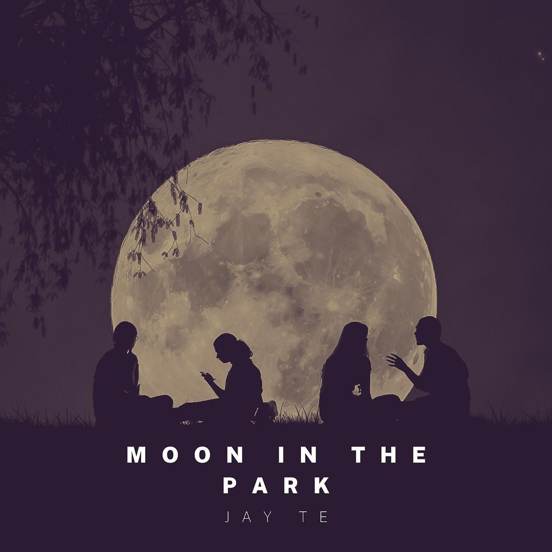 Постер альбома Moon In The Park