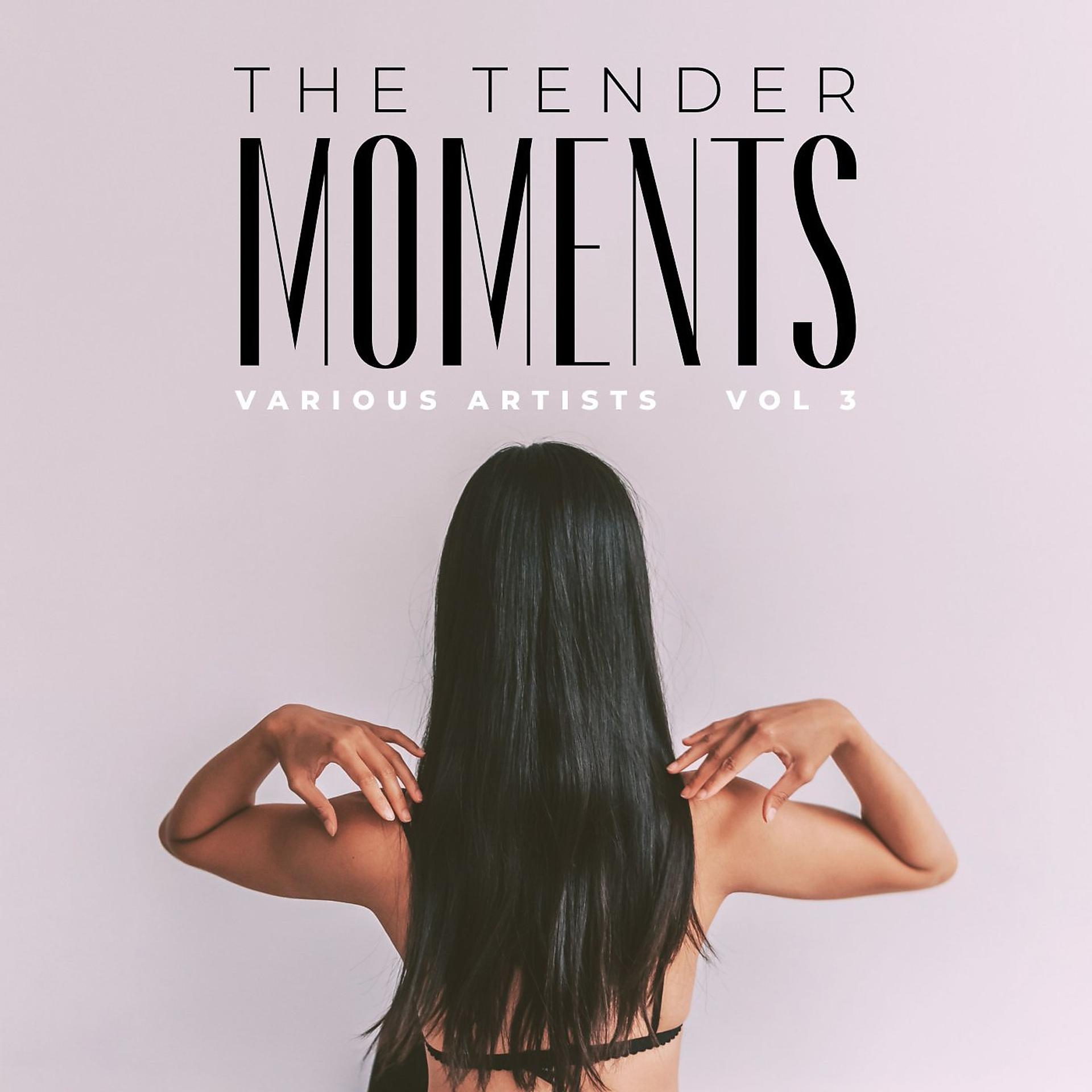 Постер альбома The Tender Moments, Vol. 3
