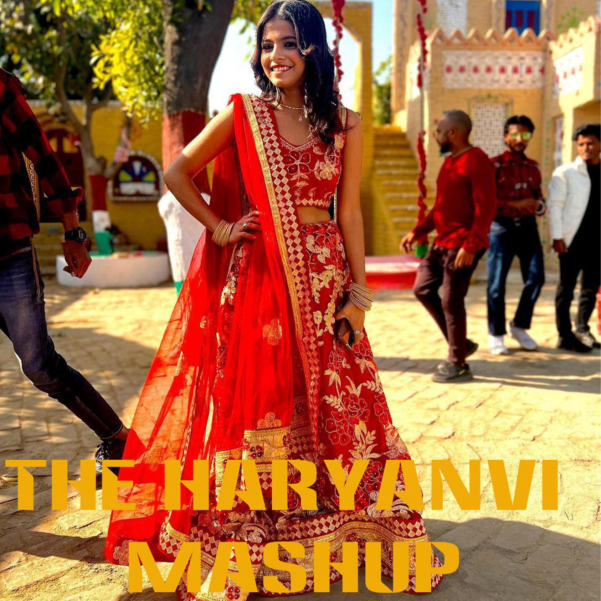 Постер альбома The Haryanvi Mashup