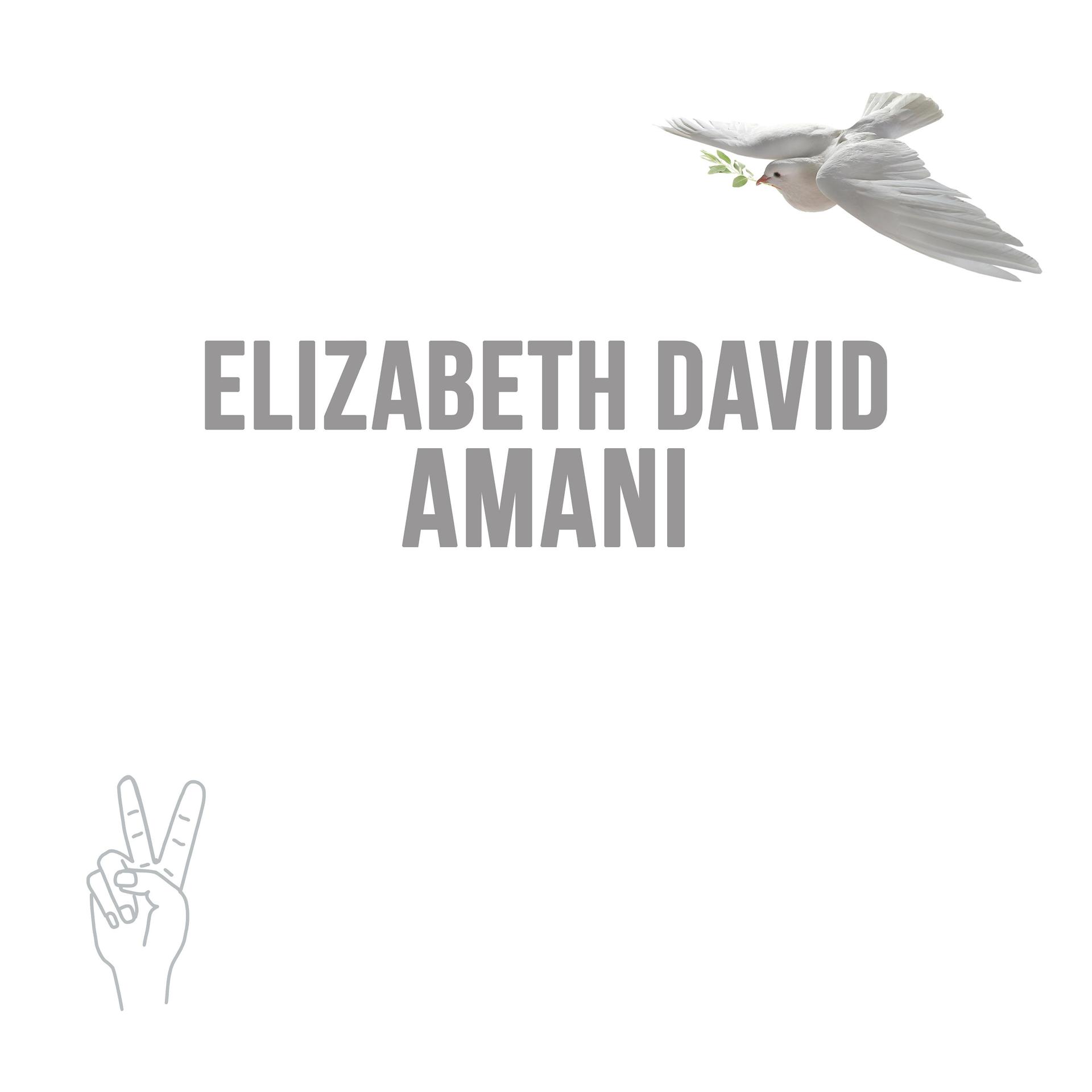 Постер альбома Amani