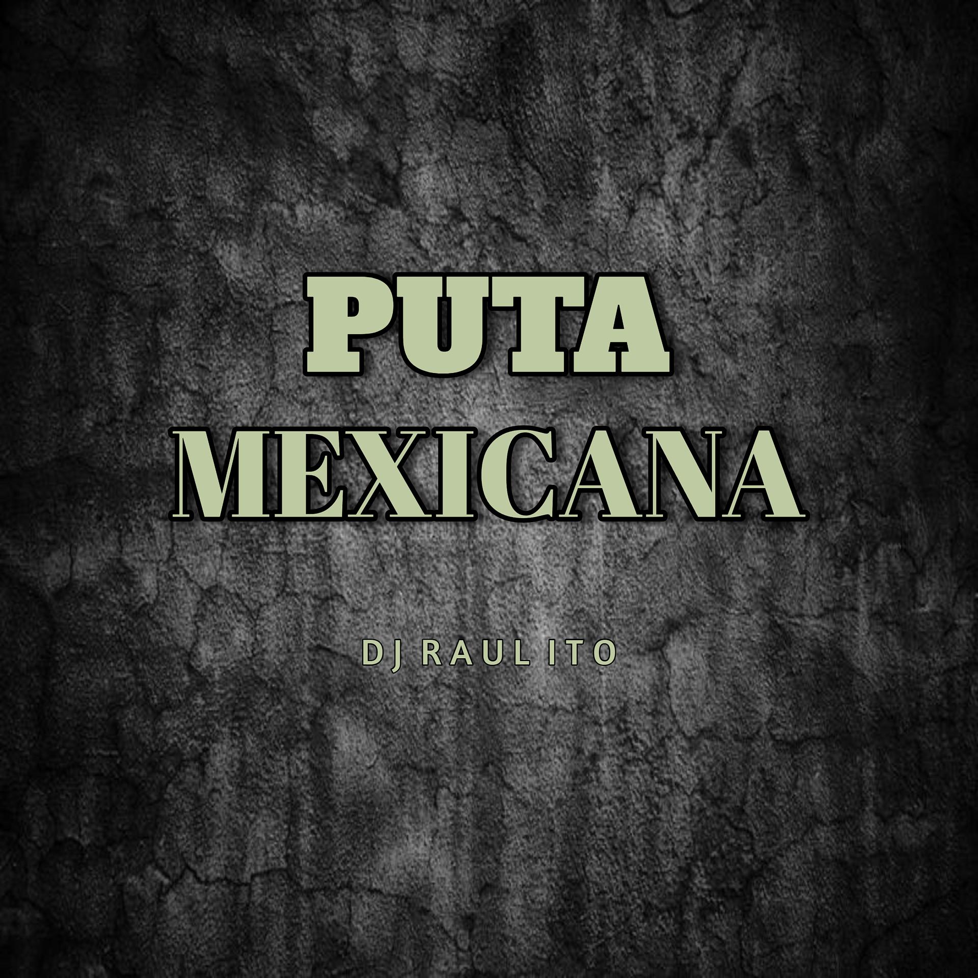 Постер альбома Puta Mexicana