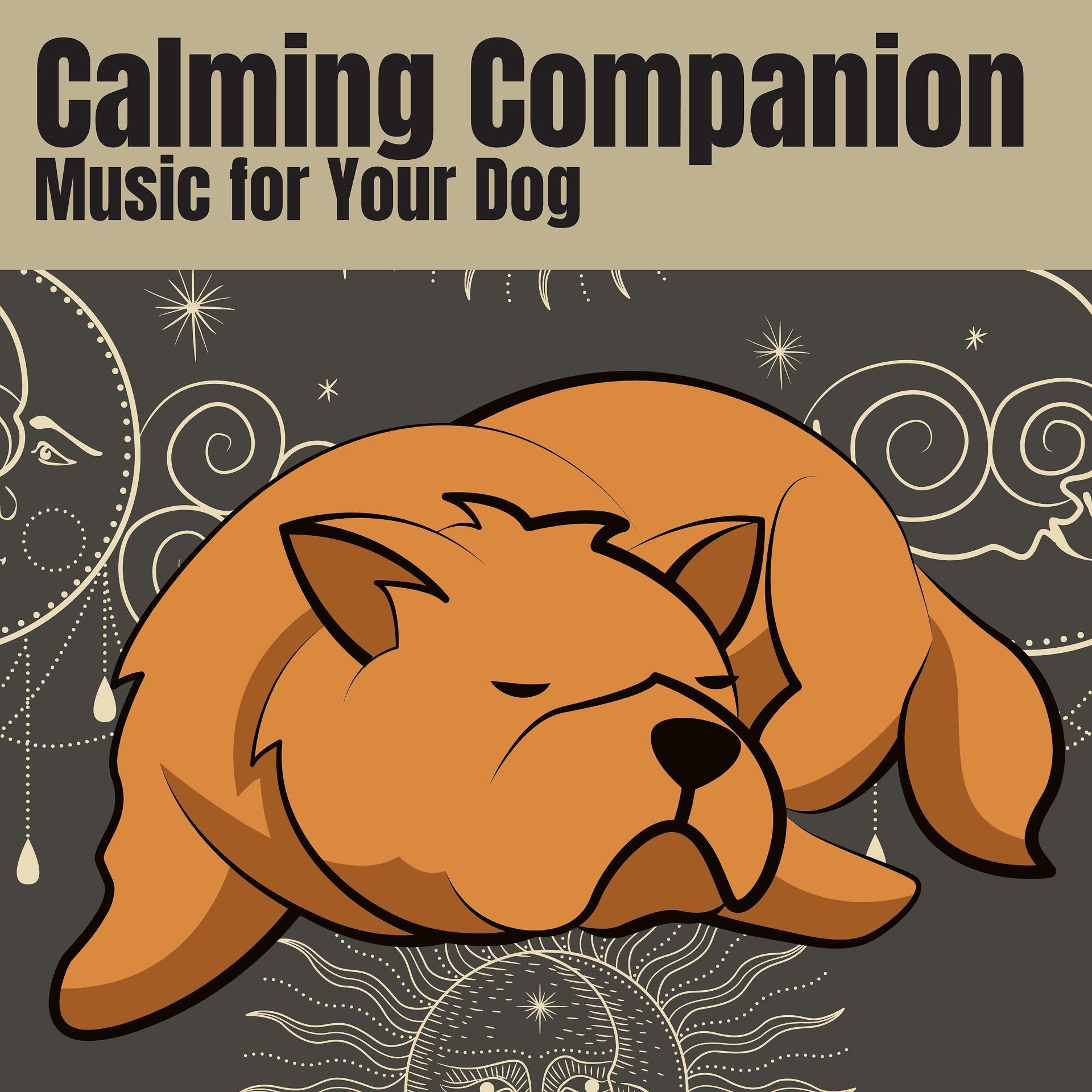 Постер альбома Calming Companion Music for Your Dog