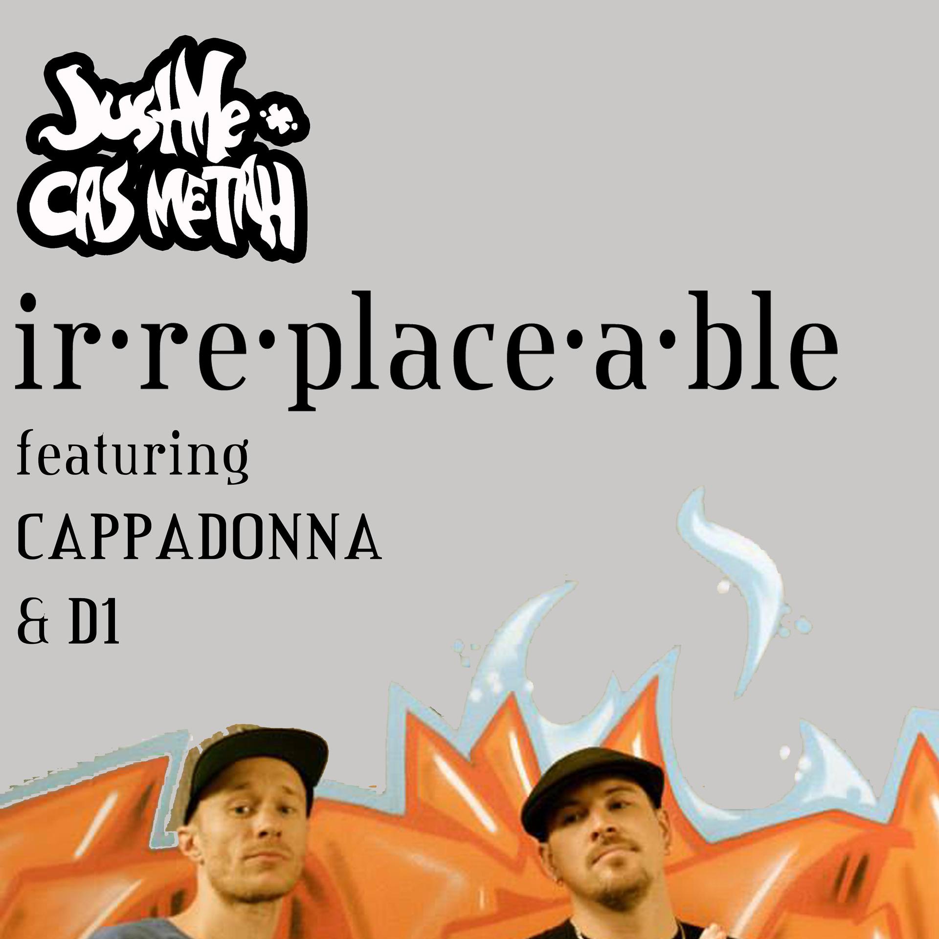 Постер альбома Irreplaceable (feat. Cappadonna & D1)