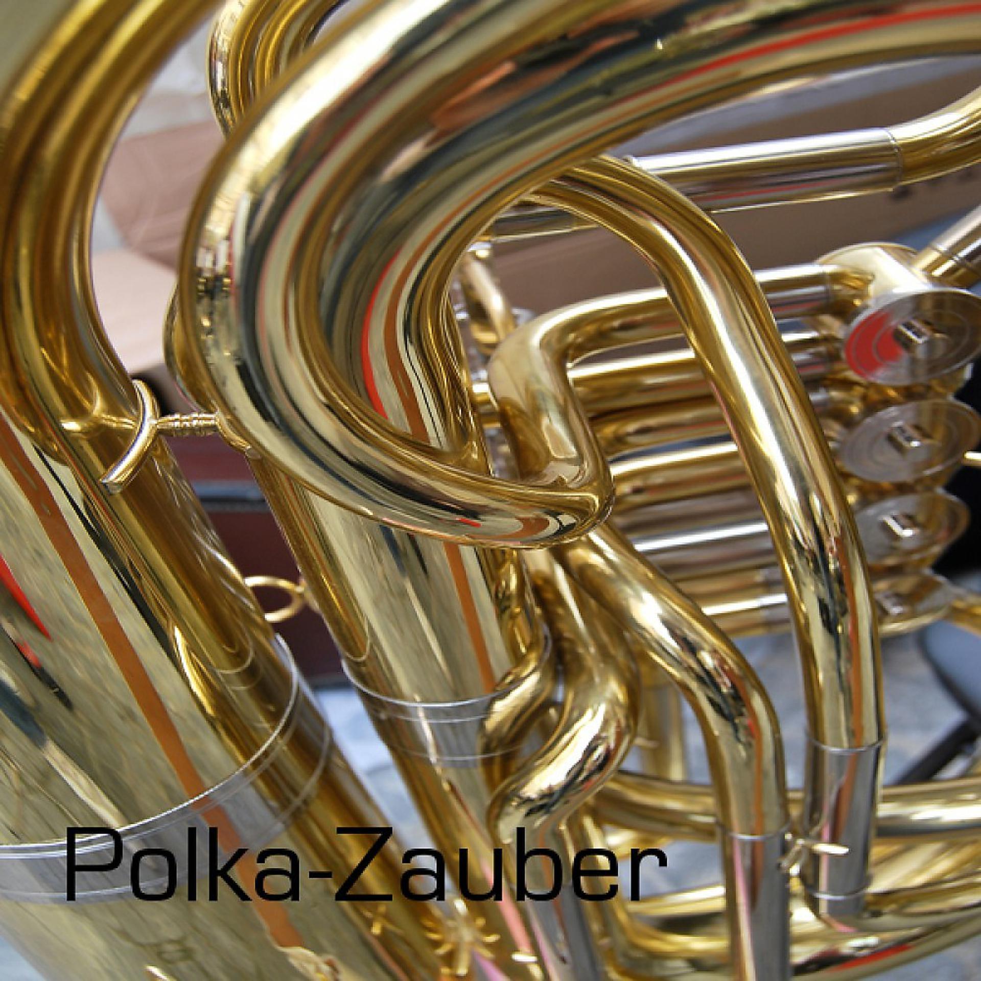 Постер альбома Polka - Zauber / Best of Polka