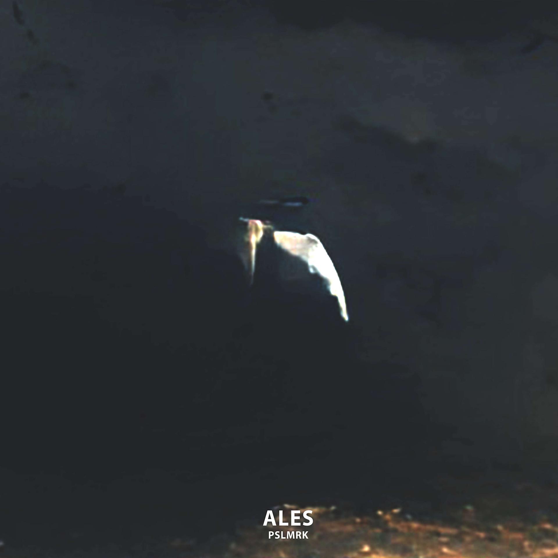 Постер альбома Ales