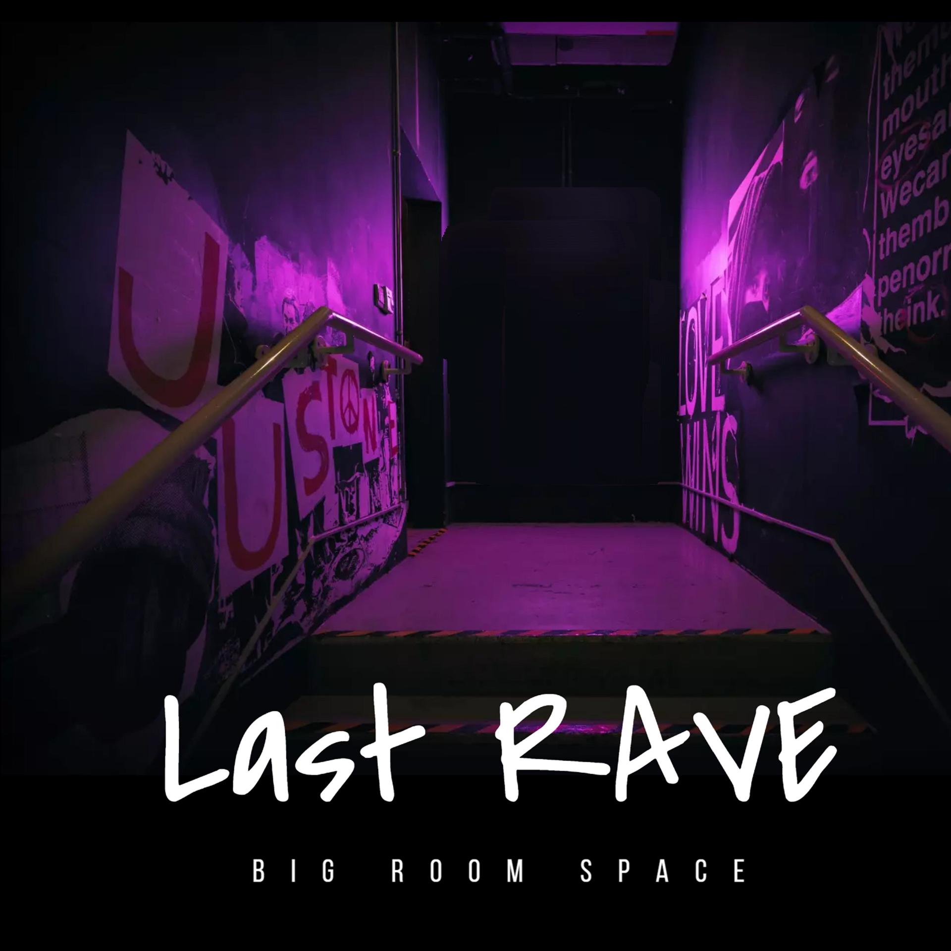 Постер альбома Last Rave