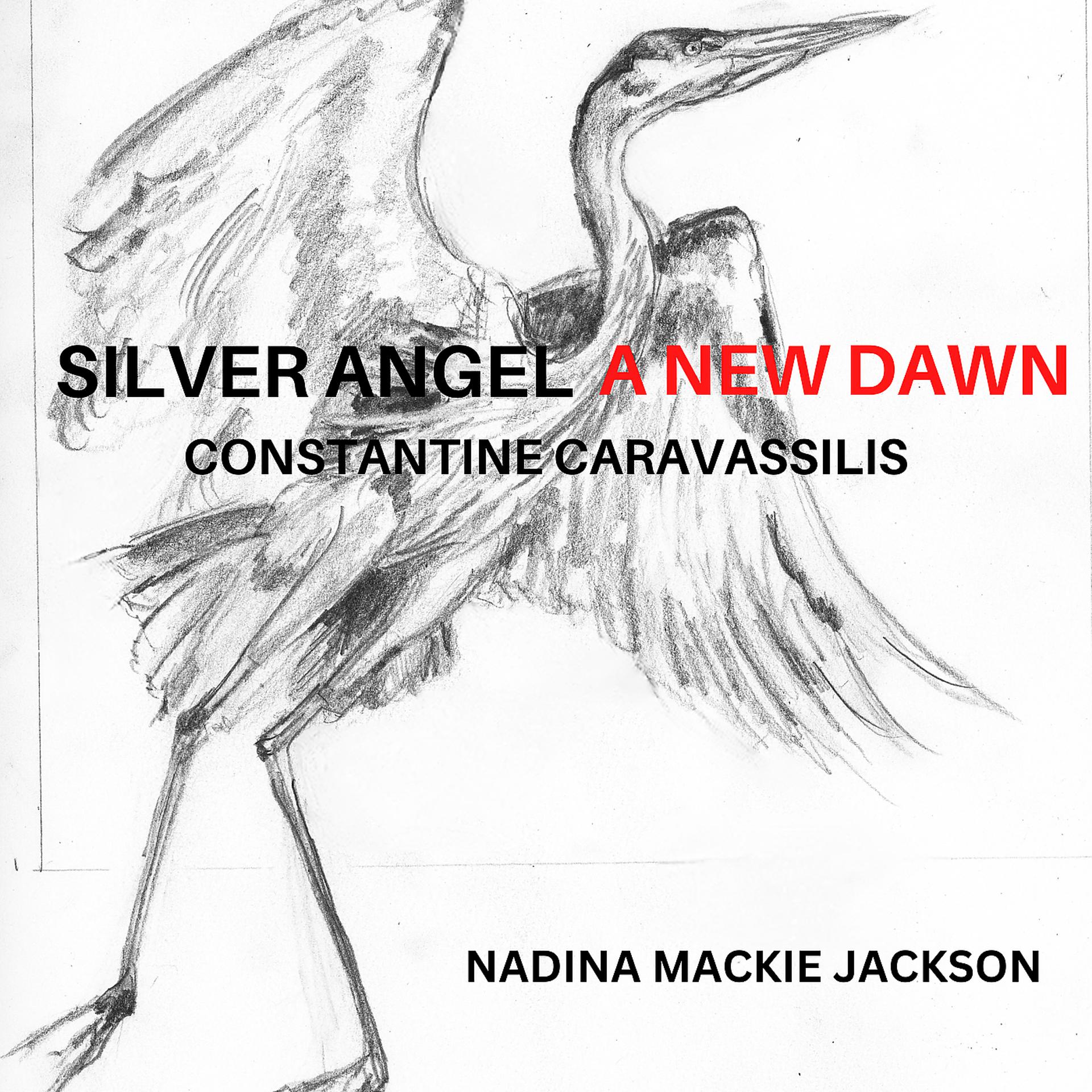 Постер альбома Silver Angel a New Dawn