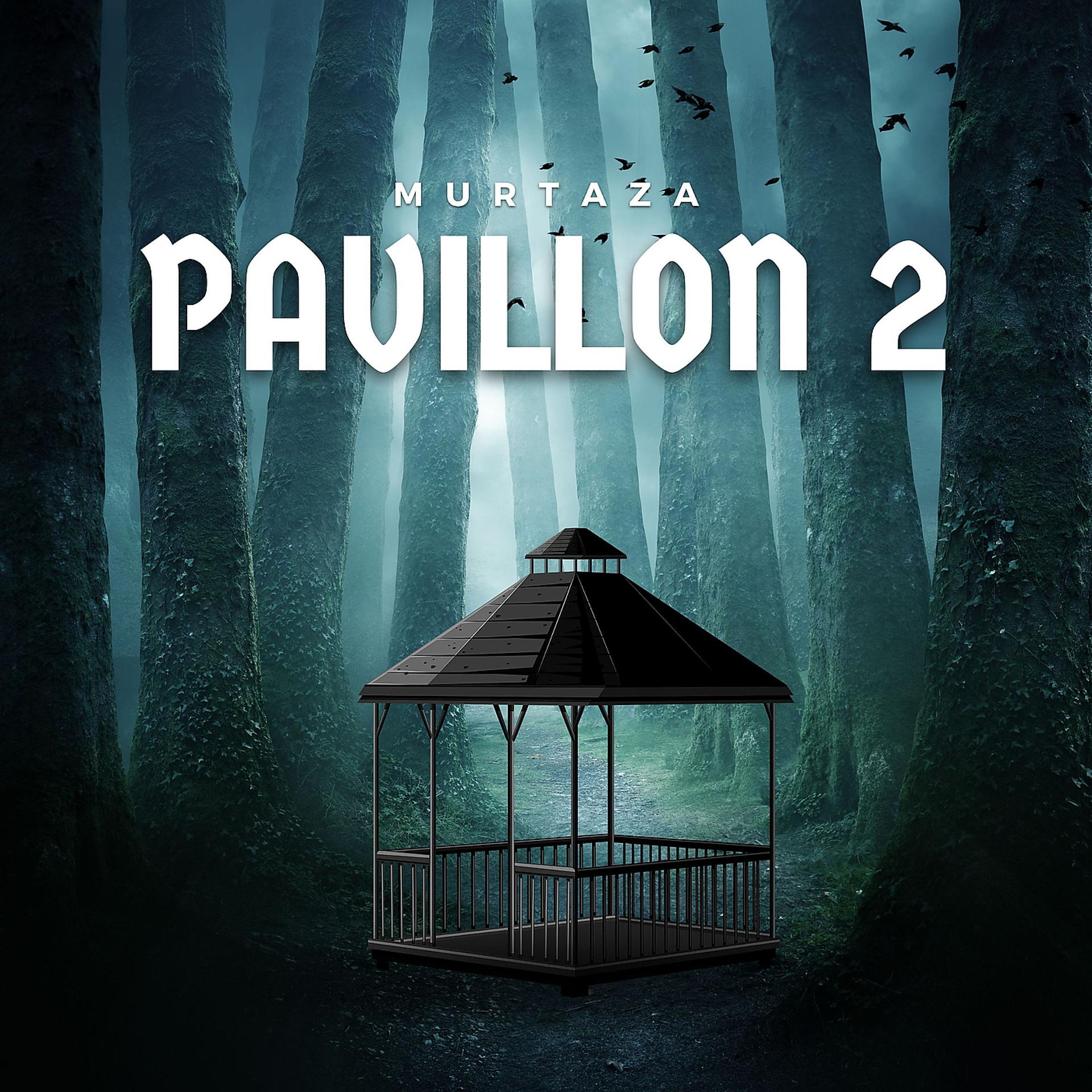 Постер альбома Pavillon 2