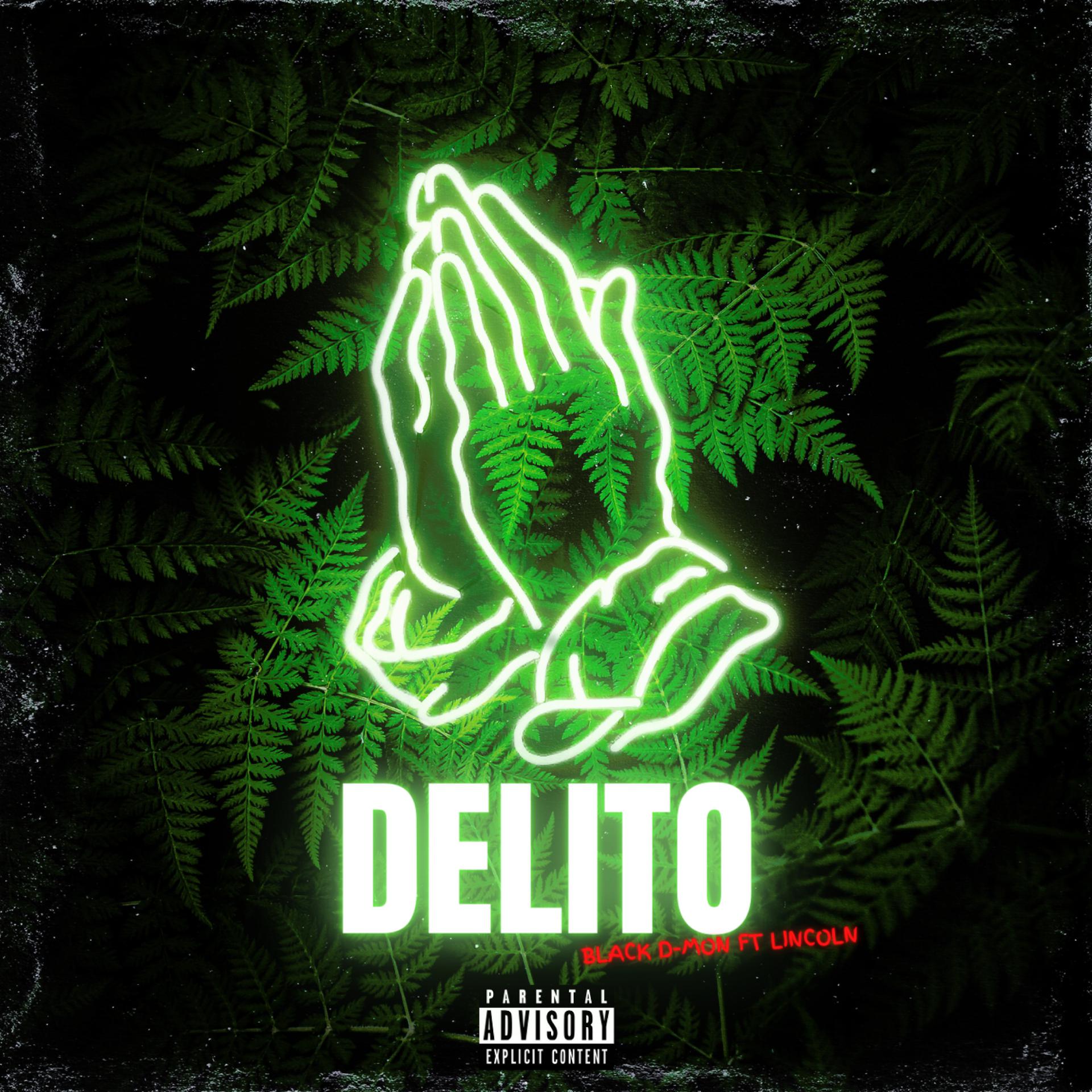 Постер альбома Delito