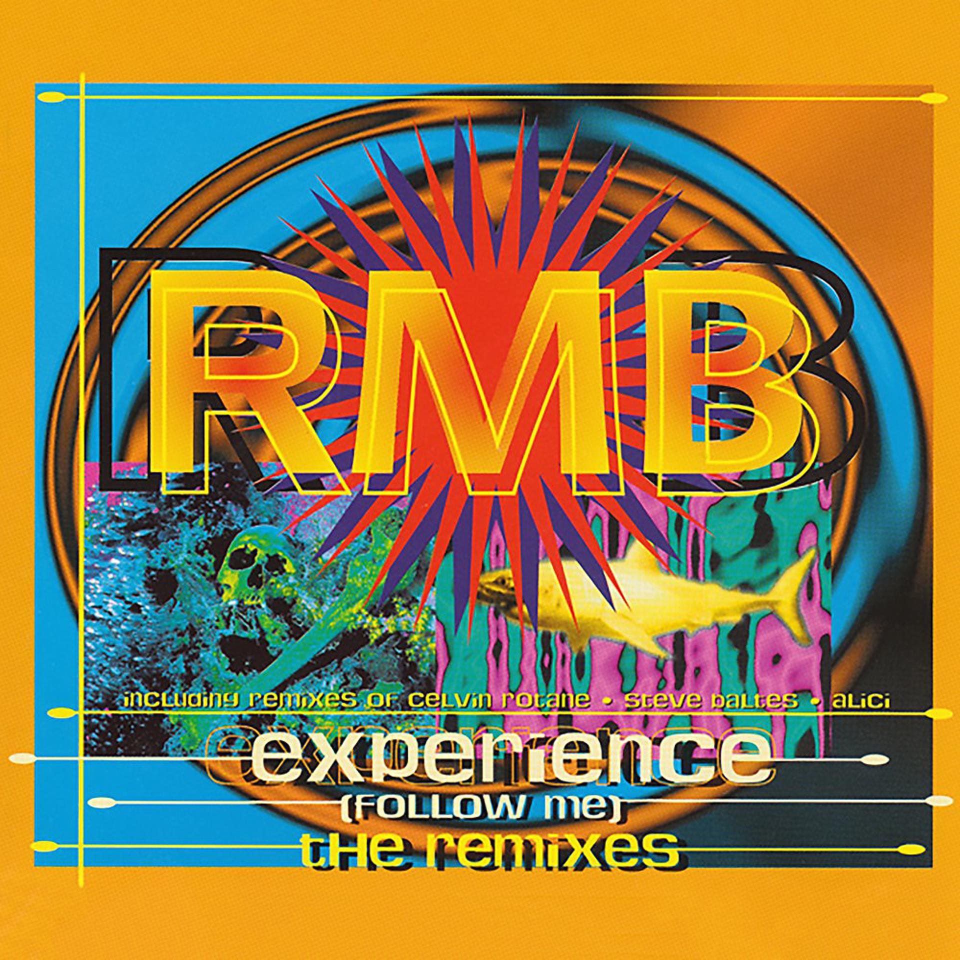 Постер альбома Experience (Follow Me) [The Remixes]