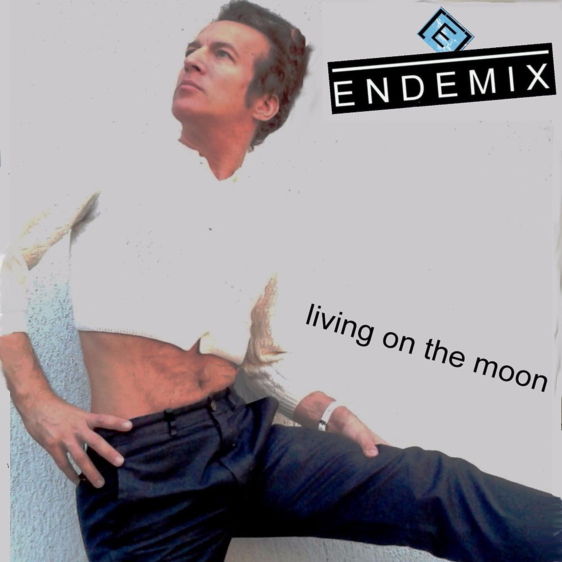 Постер альбома Living on the Moon